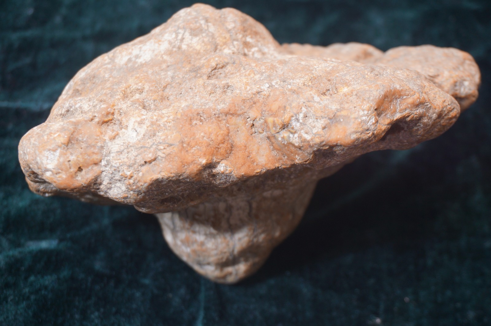 Flying Saucer Kentucky Geode