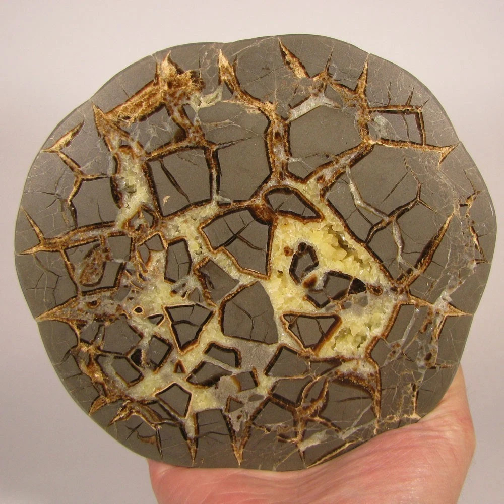 6.2″ Polished SEPTARIAN GEODE End Slab – Utah – 2.5 lbs.