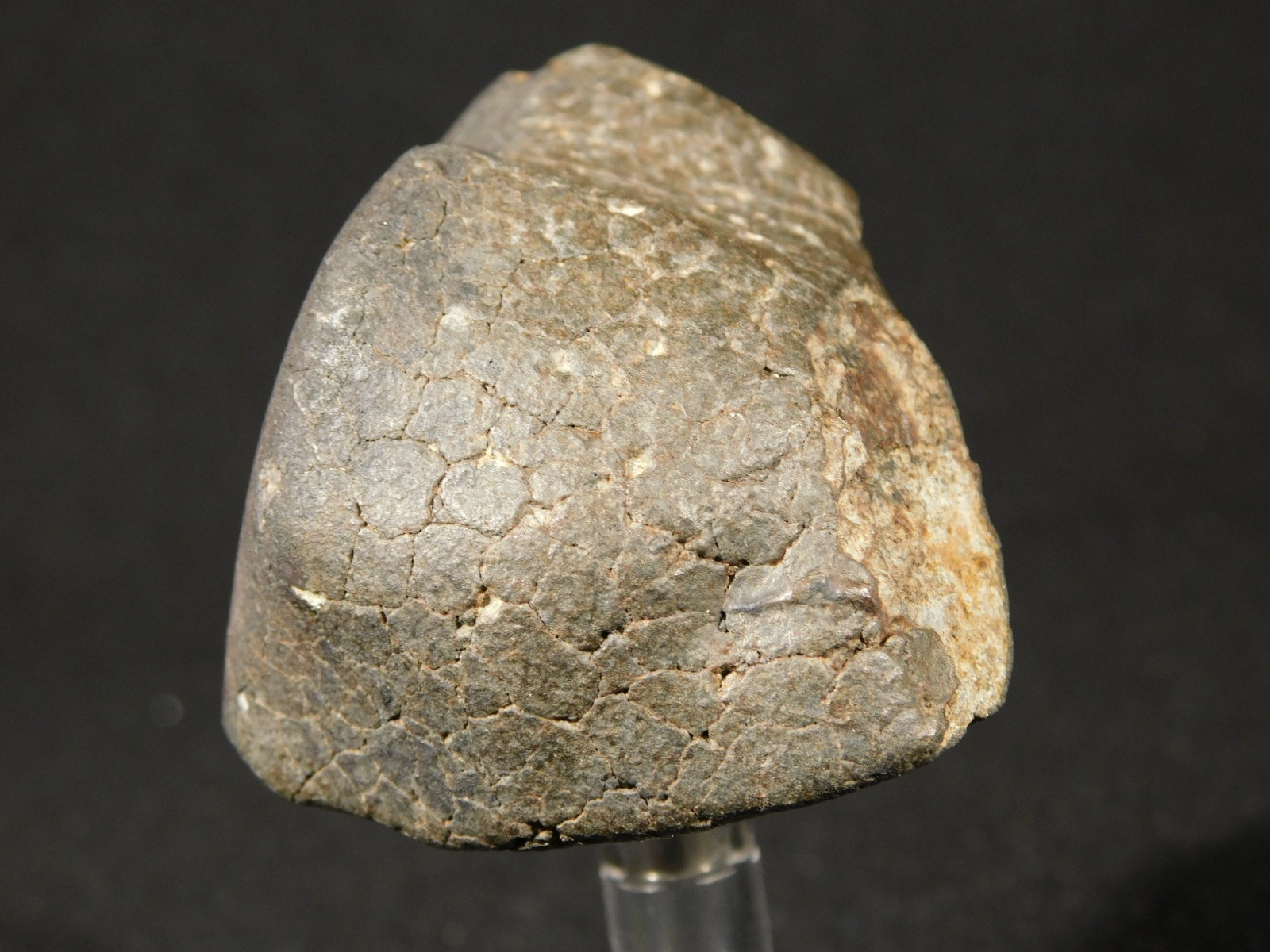 H6 Stony METEORITE Regmaglypts DARK Fusion Crust and Contraction CRACKS! 155gr