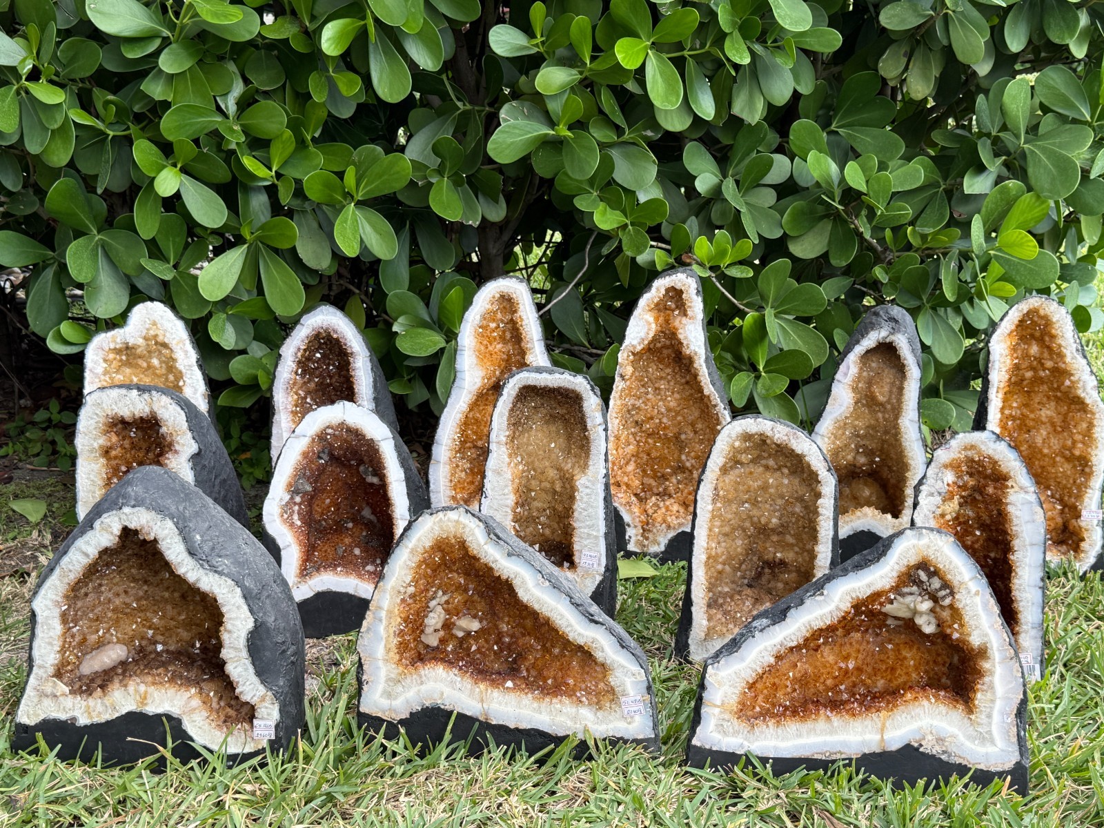 X-Large Citrine Cathedral, Citrine Geode, Honey Citrine Cluster, Pick a Weight