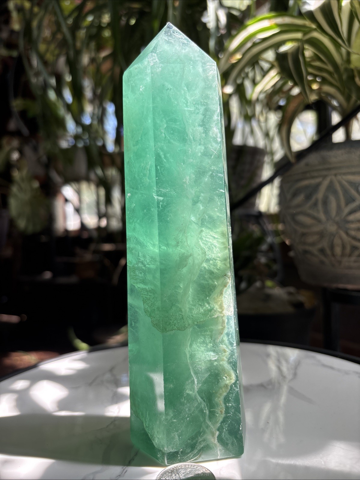 7.75″ Deep Opaque Green Fluorite Tower 726g