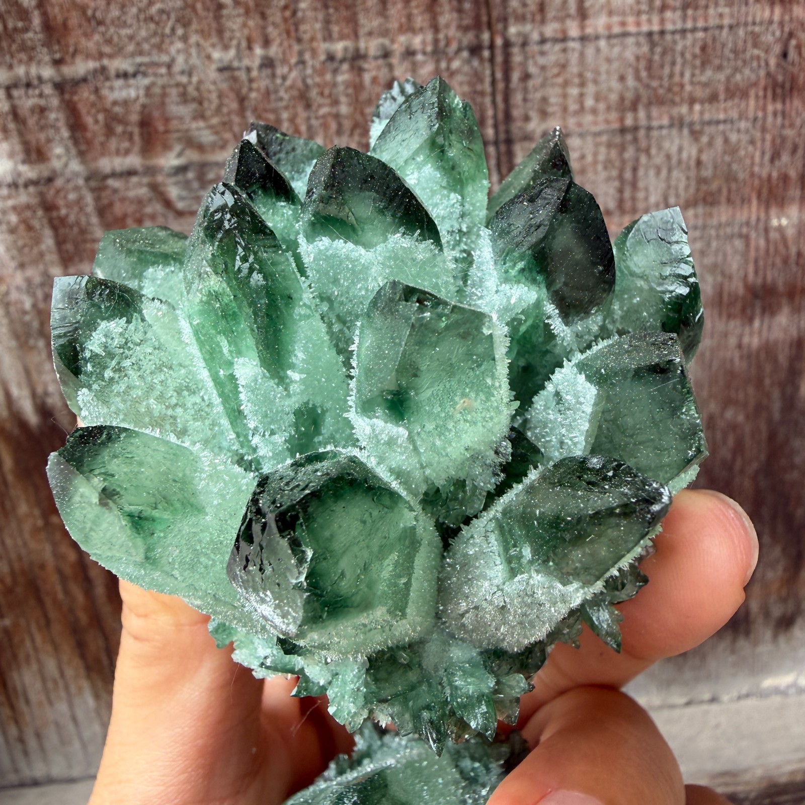 New Find green Phantom Quartz Crystal Cluster Mineral Specimen Healing 200g+ 1pc