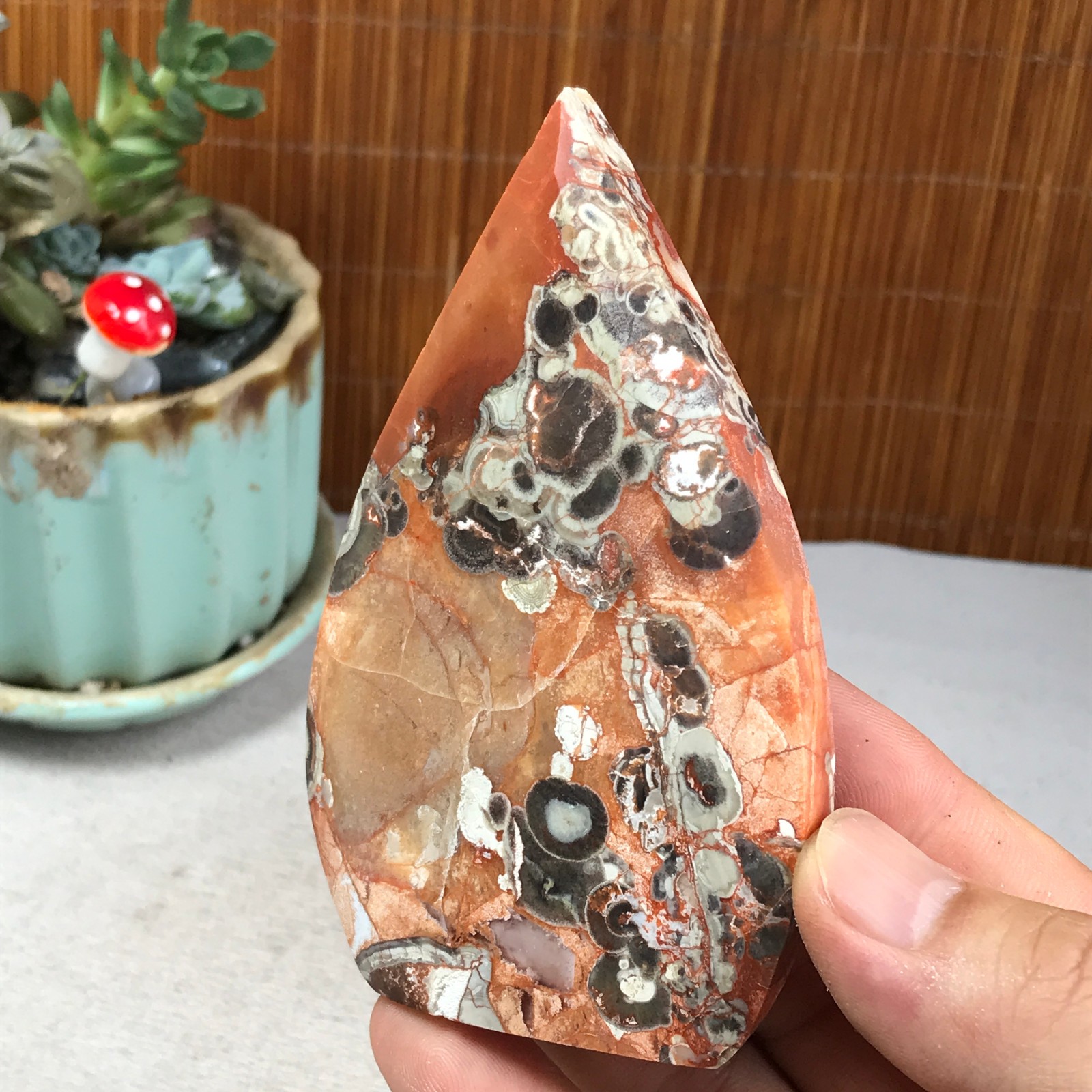 Natural money Mexico agate hand carve leaf Crystal Specimen free standing A6261