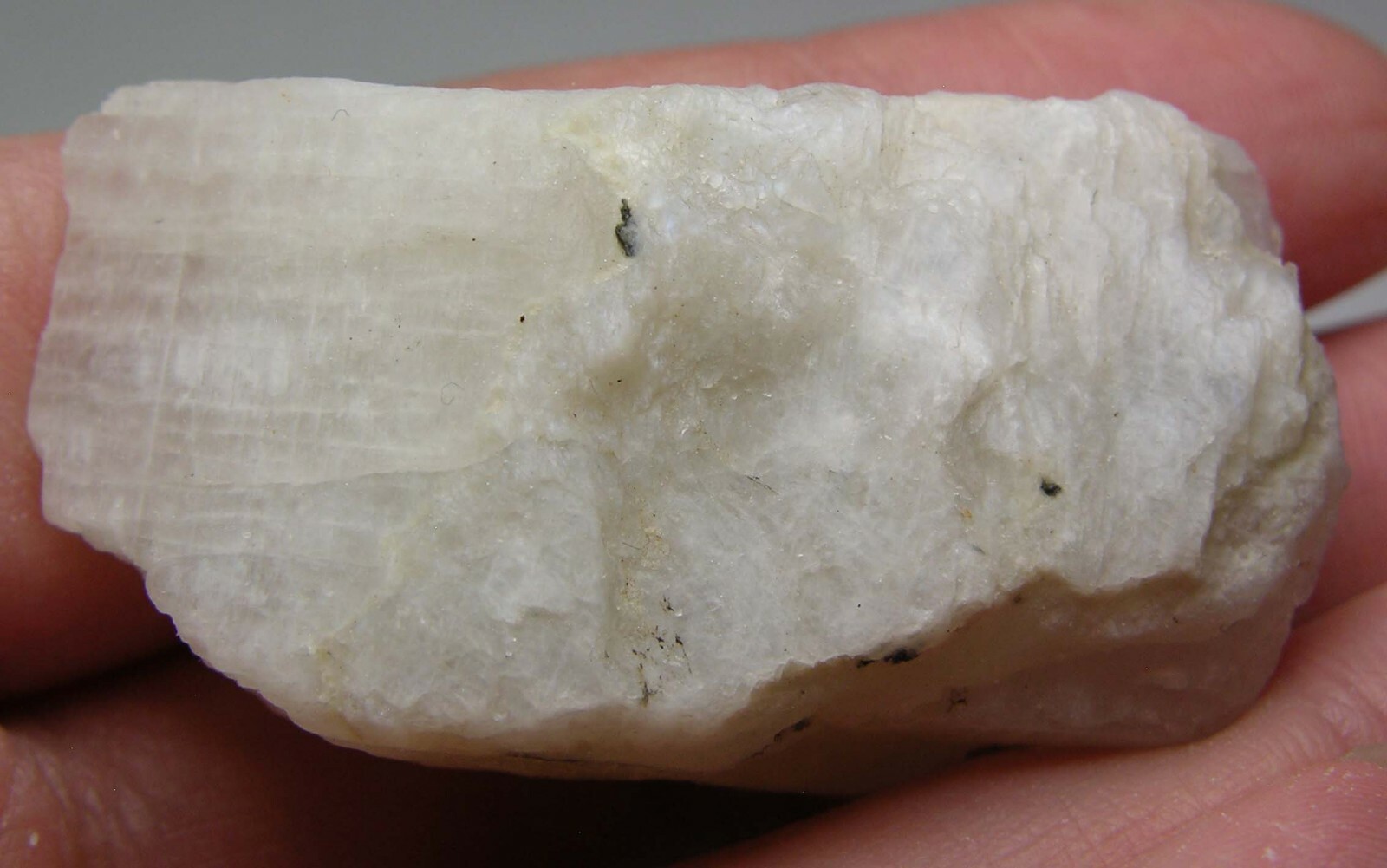 #20 Sri-Lanka 140.80ct 100% Natural Rough White MoonStone Specimen 28.15g 46mm