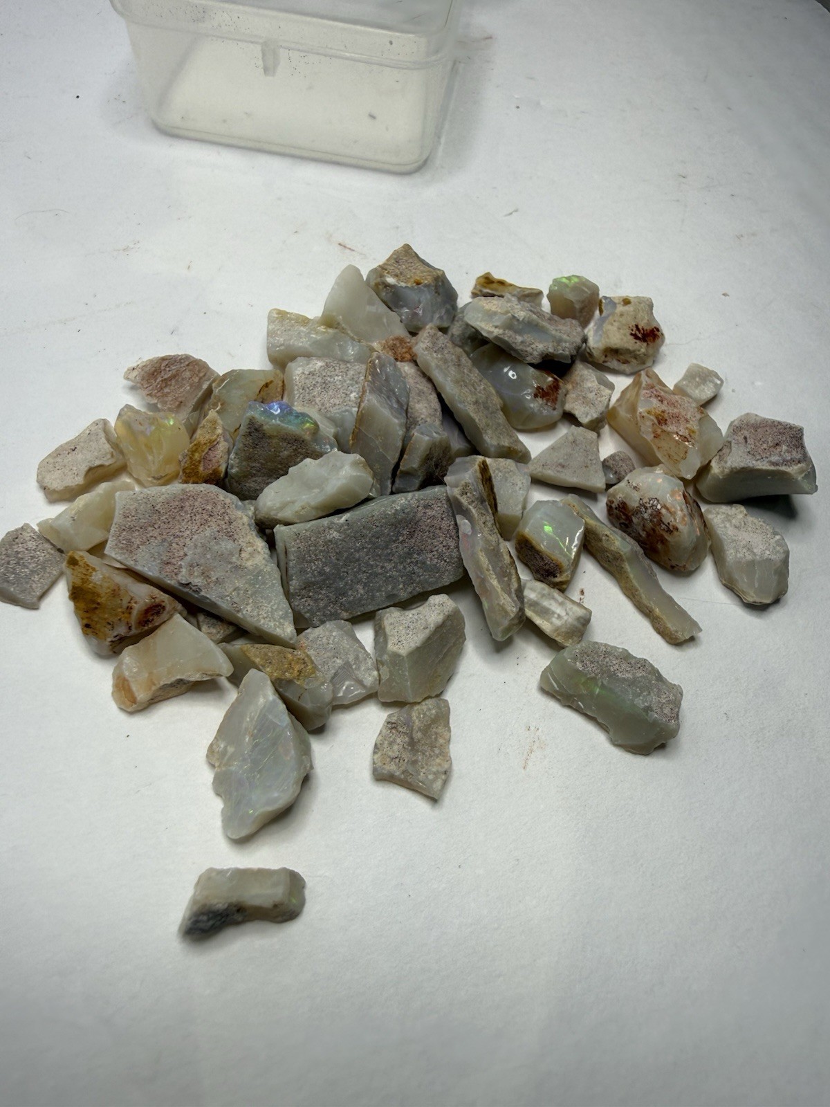 Lot Of Natural Australian Opals Multicolor Flash 26g Total With Plastic Case