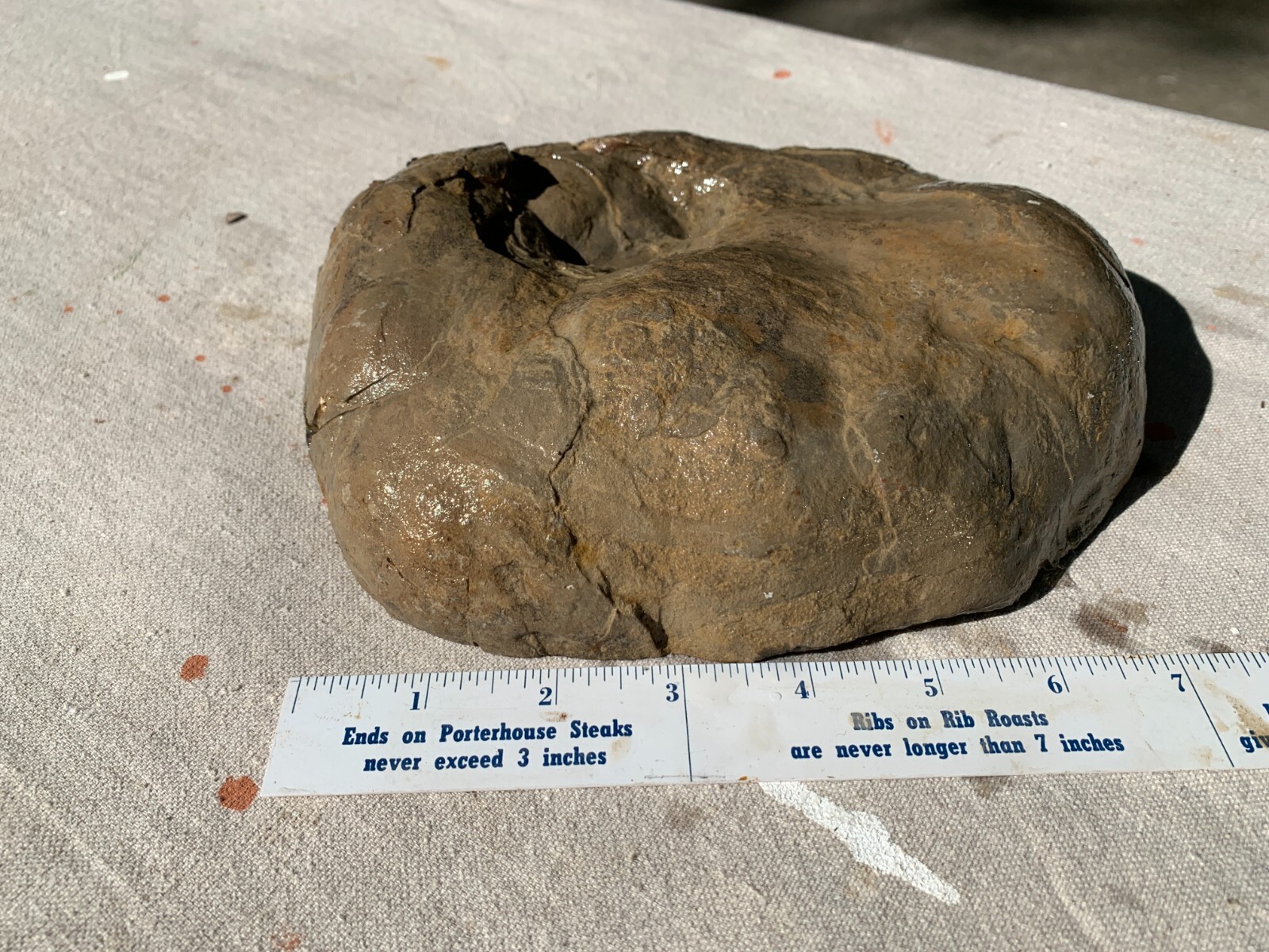 ☆5.5LB (2400Gr) 8 Inch Septarian Nodule 1/2 Geode Mineral Specimen from Utah☆721