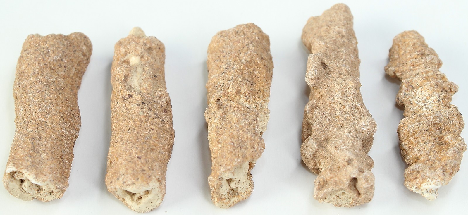 5 Pieces of Rare AAA Algerian Fulgurite (Petrified Lightning) / 76gr / 4109