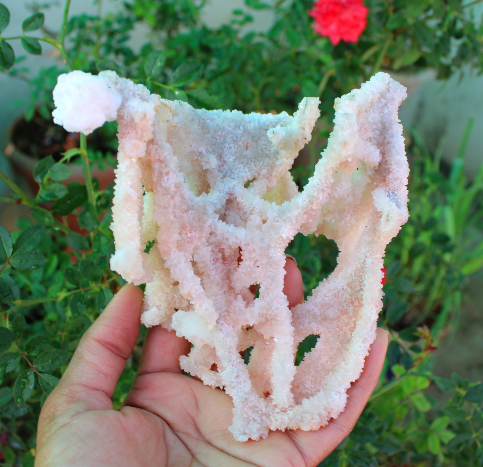 Apophyllite Crystals With Chalcedony Coral Minerals Specimen #A9