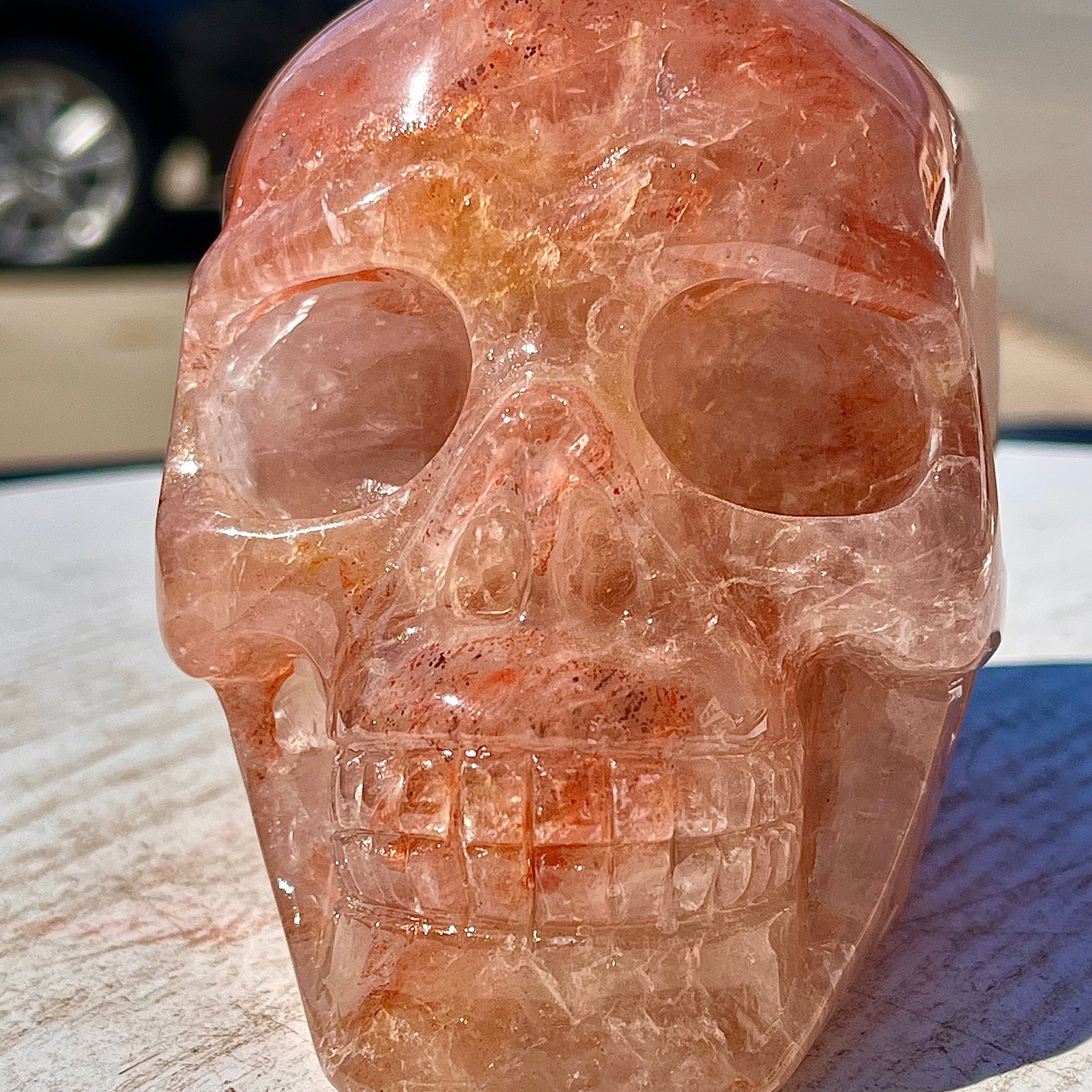 2.53LB Natural dreamy red gum flower skull hand carved skull healing
