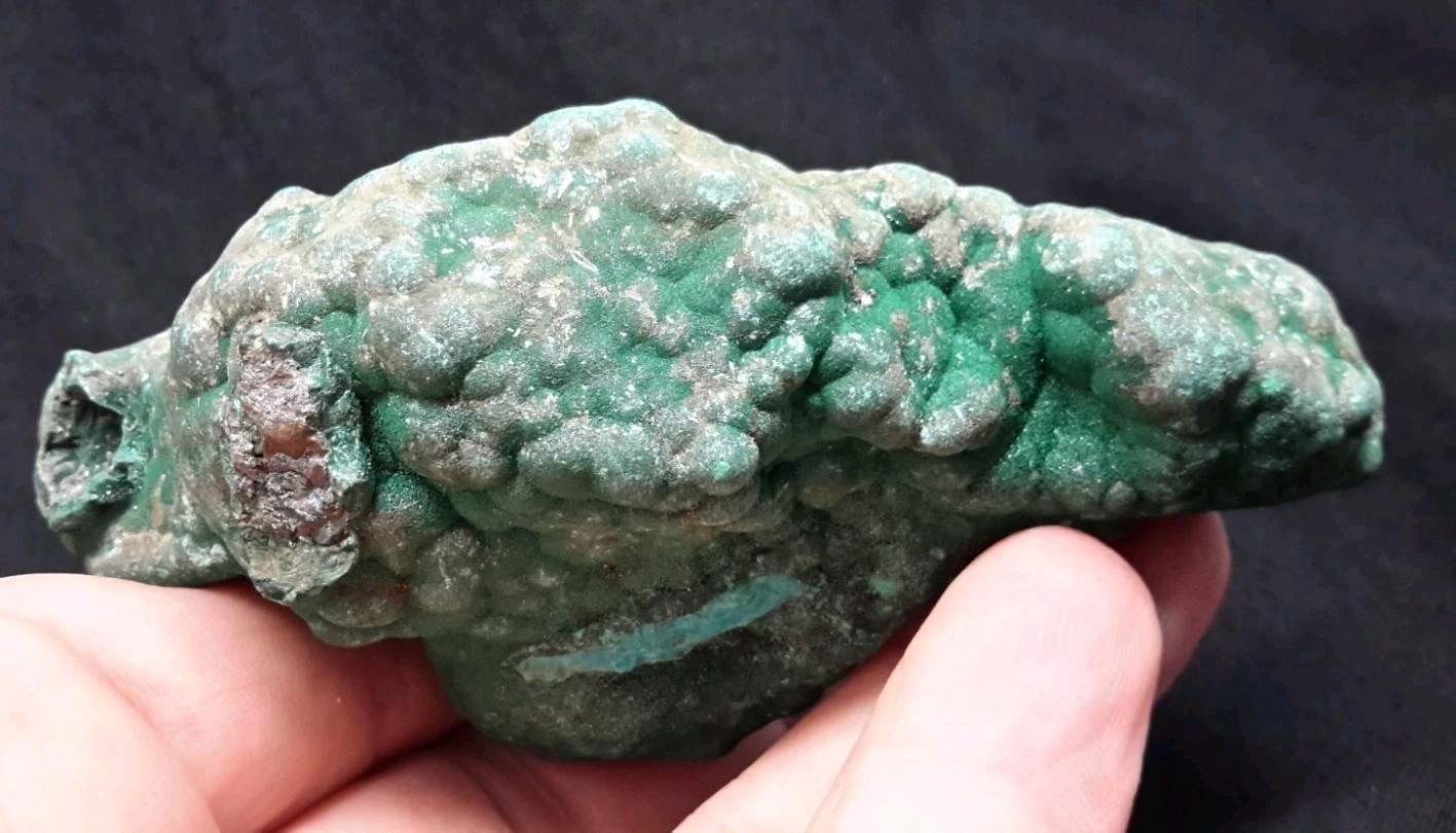 3.75″ MALACHITE with CHRYSOCOLLA from the Democratic Republic of Congo