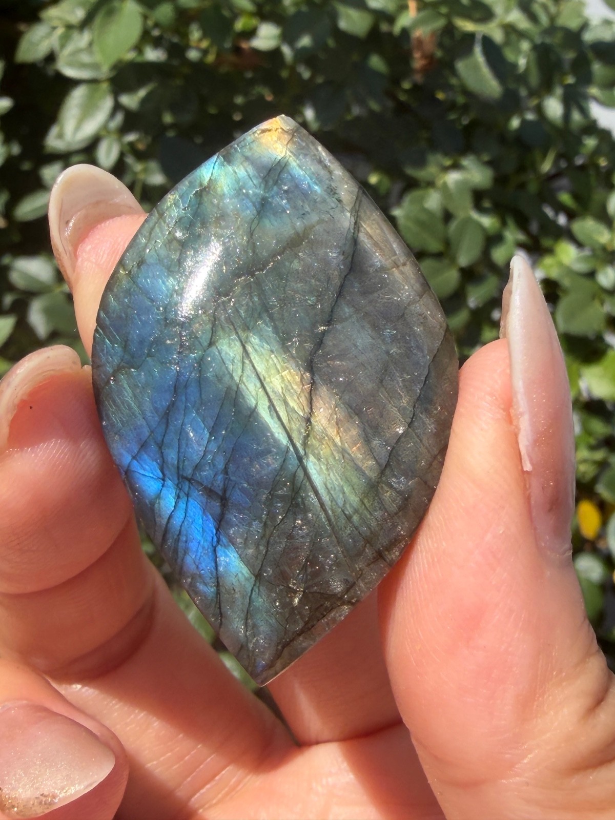 Wholesale Lot 12 Pcs Natural Labradorite Cabochon Crystal Healing Energy