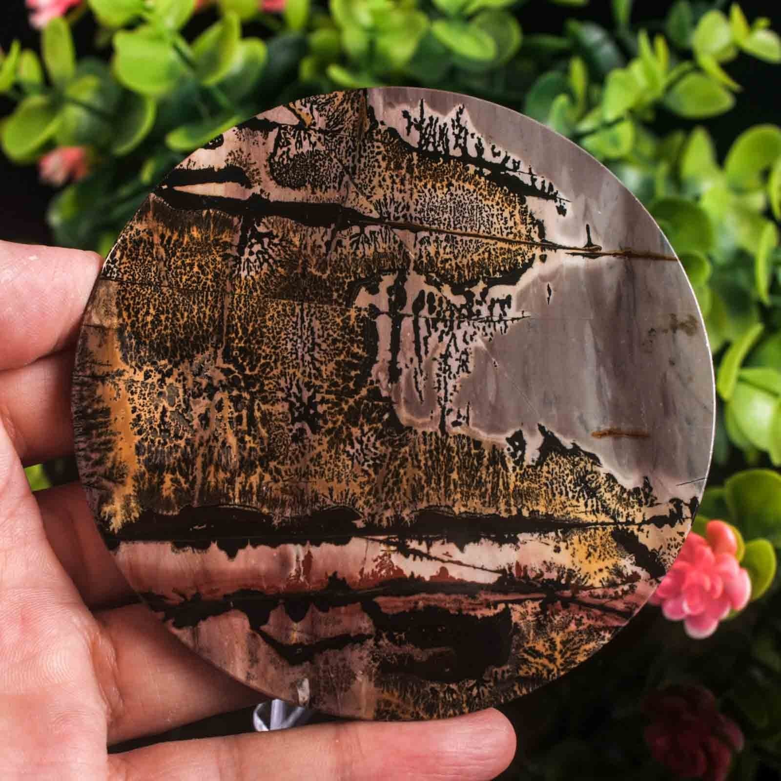 Picture Jasper Slab Natural Stone Display Crystal Specimen w/Stand 3.7″ 4.4oz