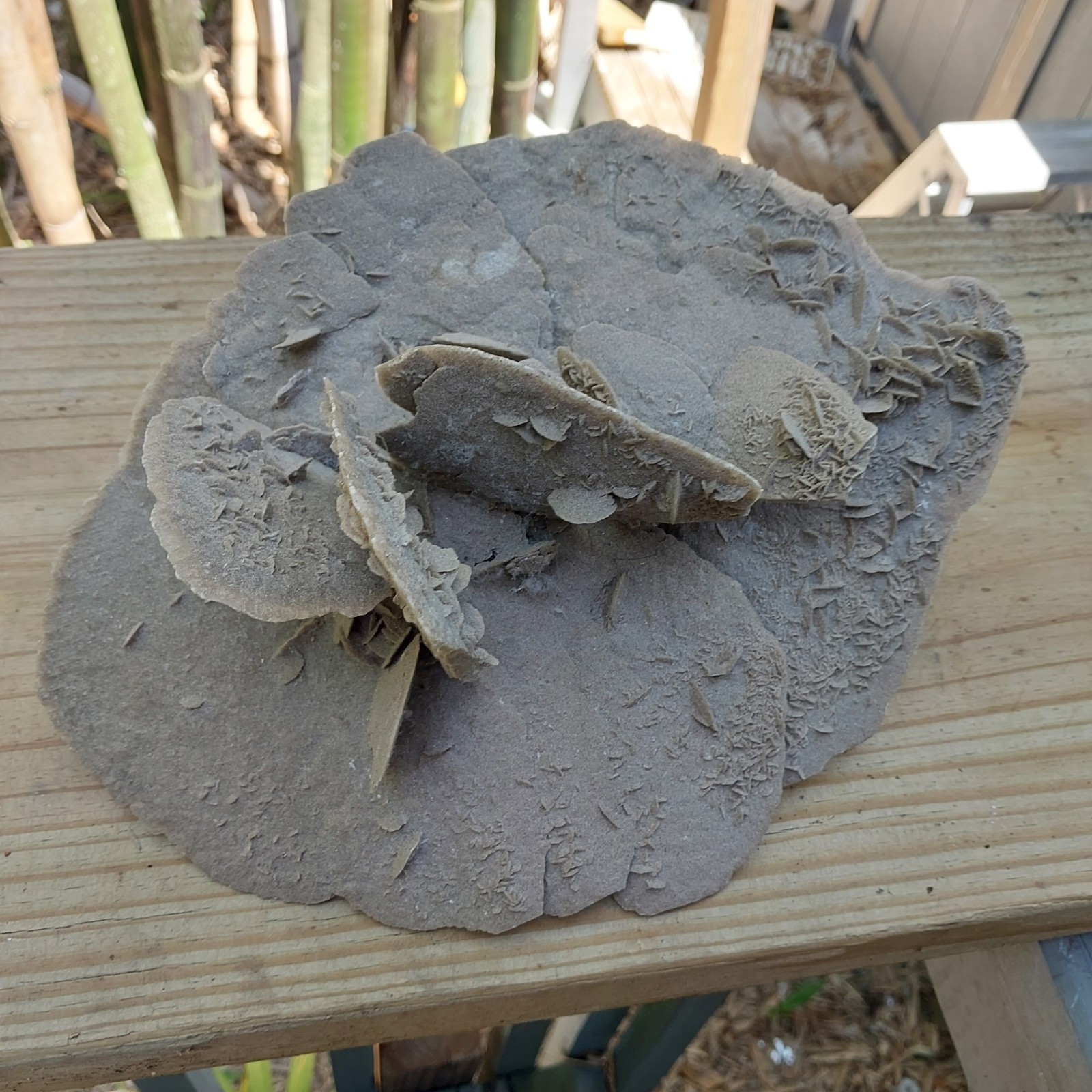 Desert Rose Selenite Gypsum Crystal Formation Mineral Specimen 12″ By 7″