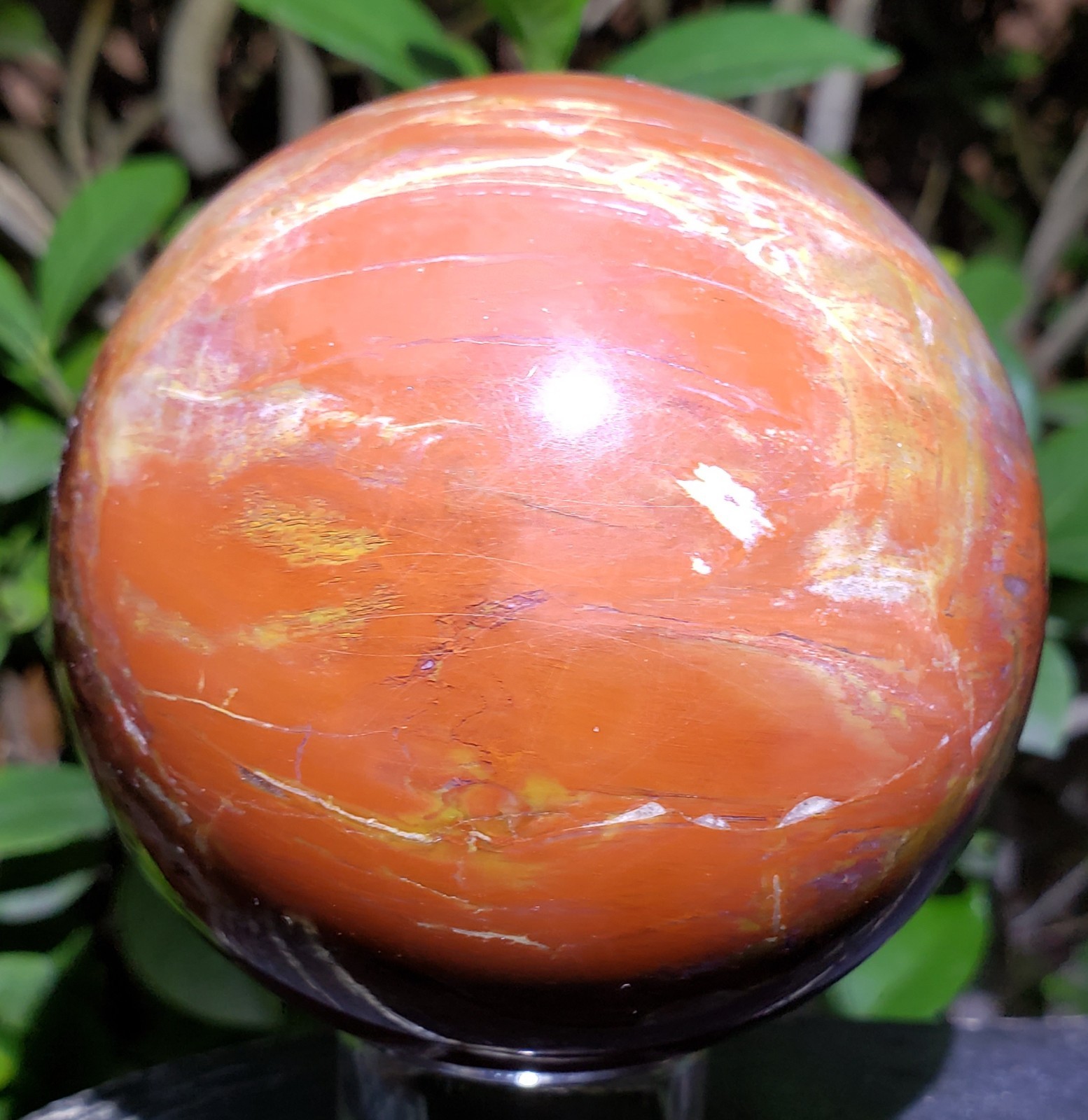 3.1″ Red Petrified Wood Sphere Orb Quartz Crystal Ball Fossil Mineral UV, 652g