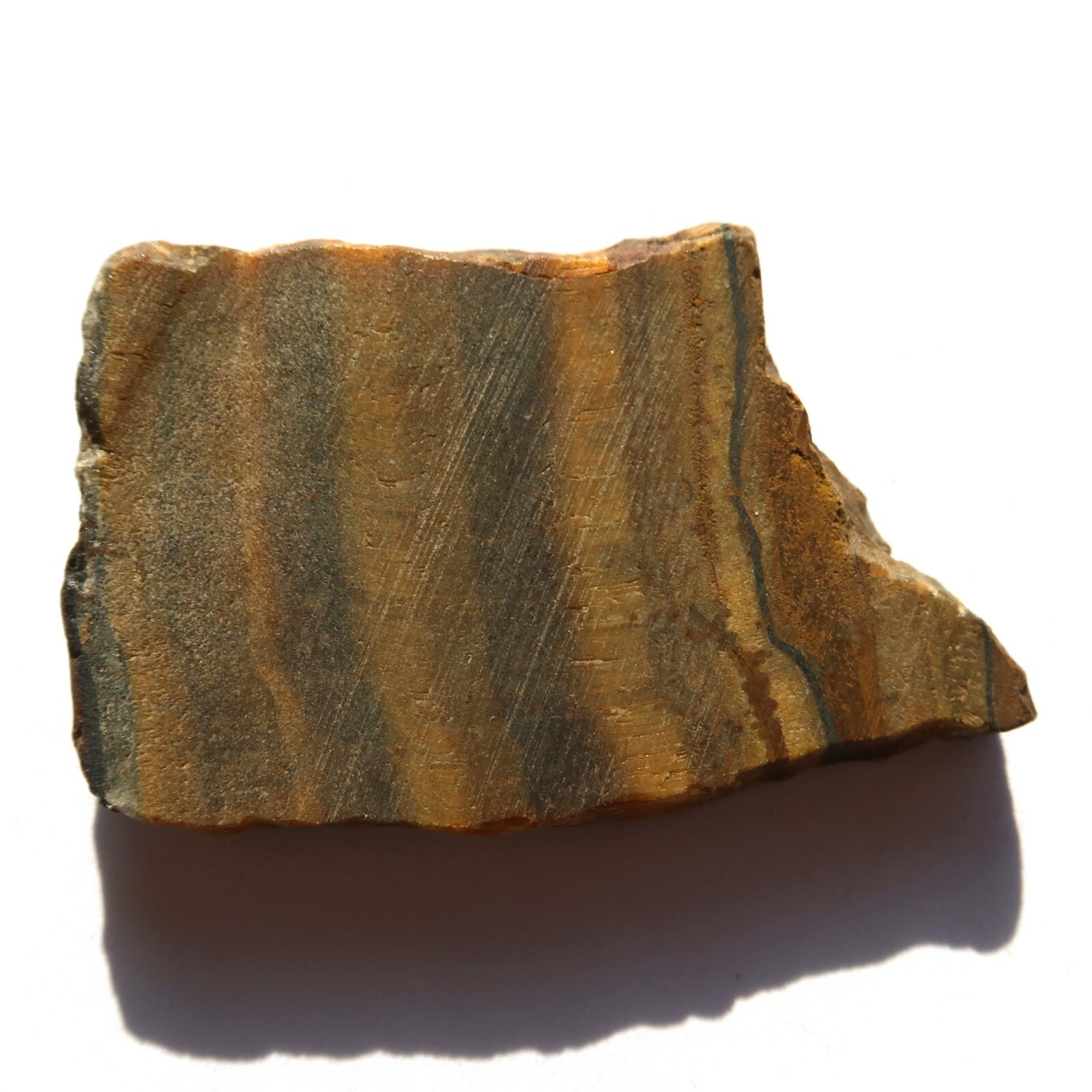 Tiger Eye Slice NOT Polished JW153