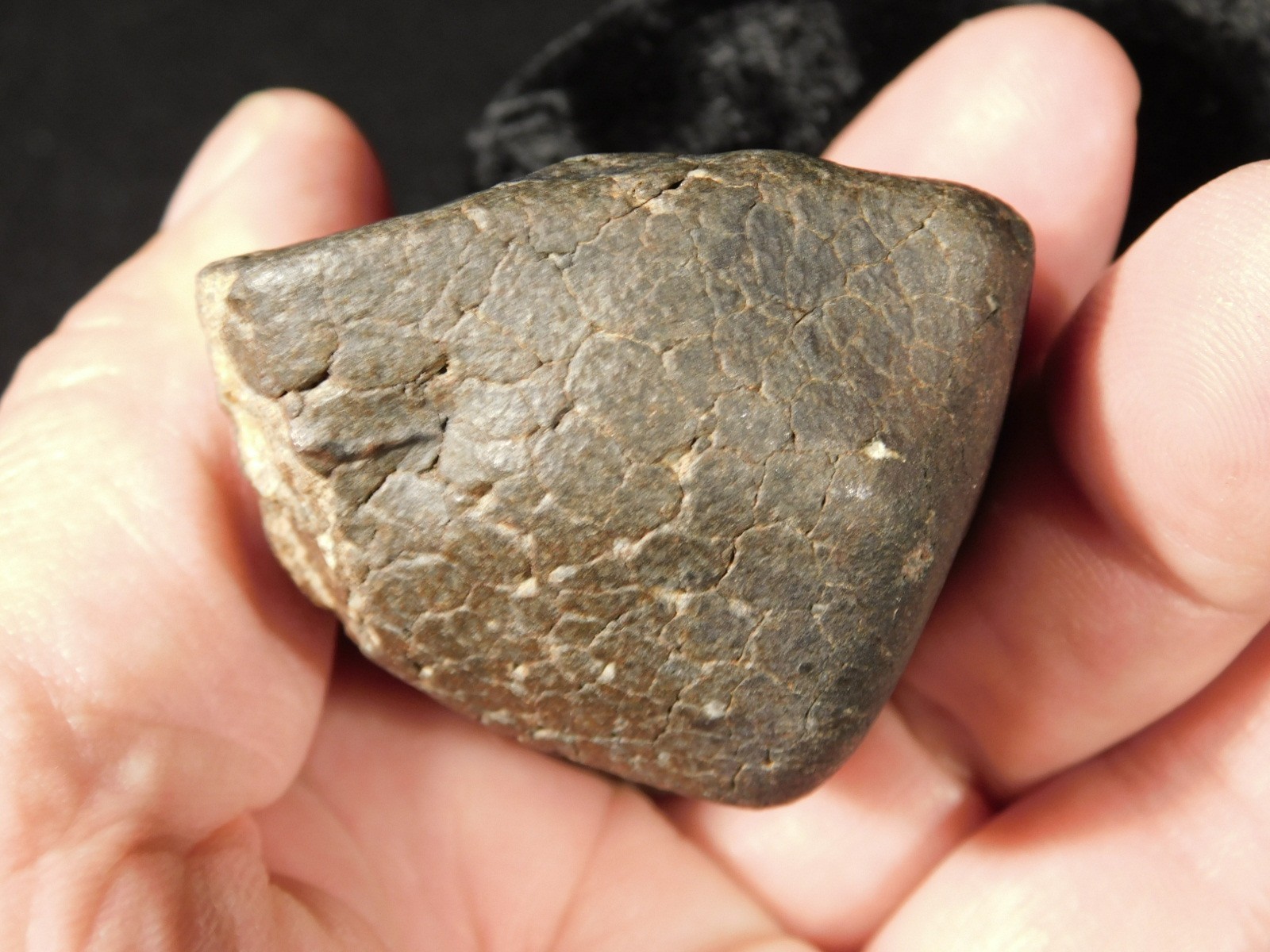 H6 Stony METEORITE Regmaglypts DARK Fusion Crust and Contraction CRACKS! 155gr