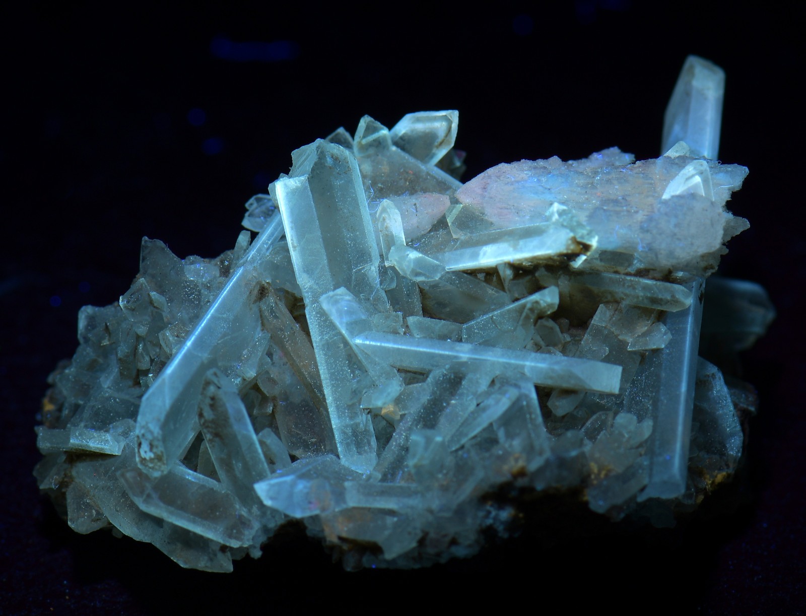 Celestine crystals, fluorescent. White Rock Quarry, Clay Center, Ohio. 14 grams.