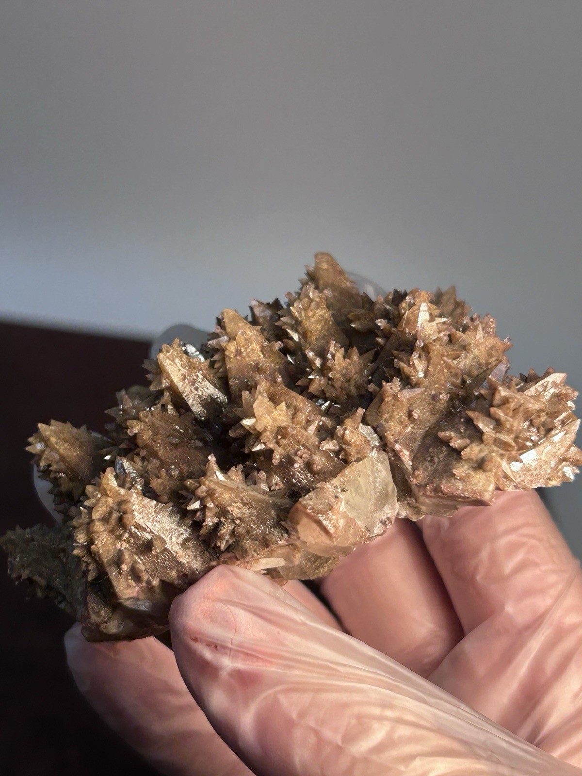 Dogtooth Calcite Cluster Santa Eulalia Mexico Old Labels Cabinet Specimen