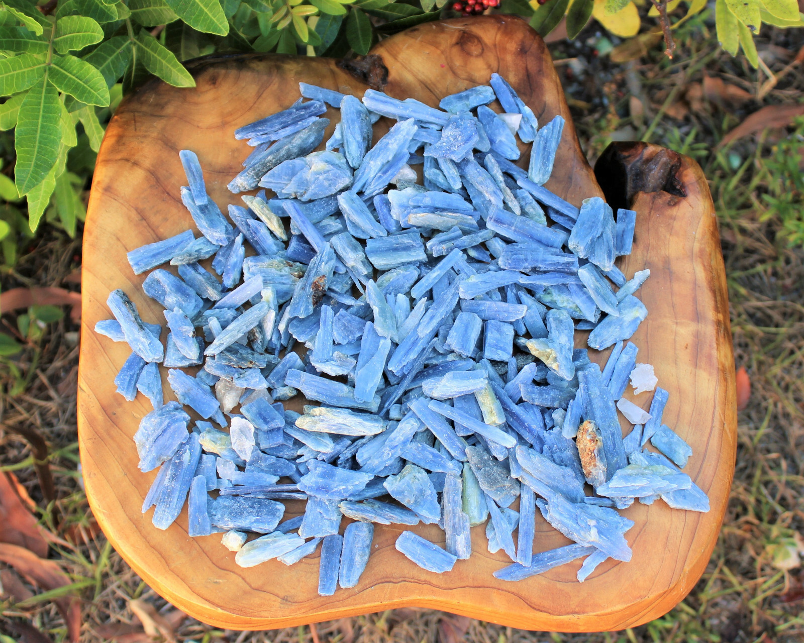 Lot of 3 Blue Kyanite Blades 1″ – 1.5″ (Crystal Rough Natural)