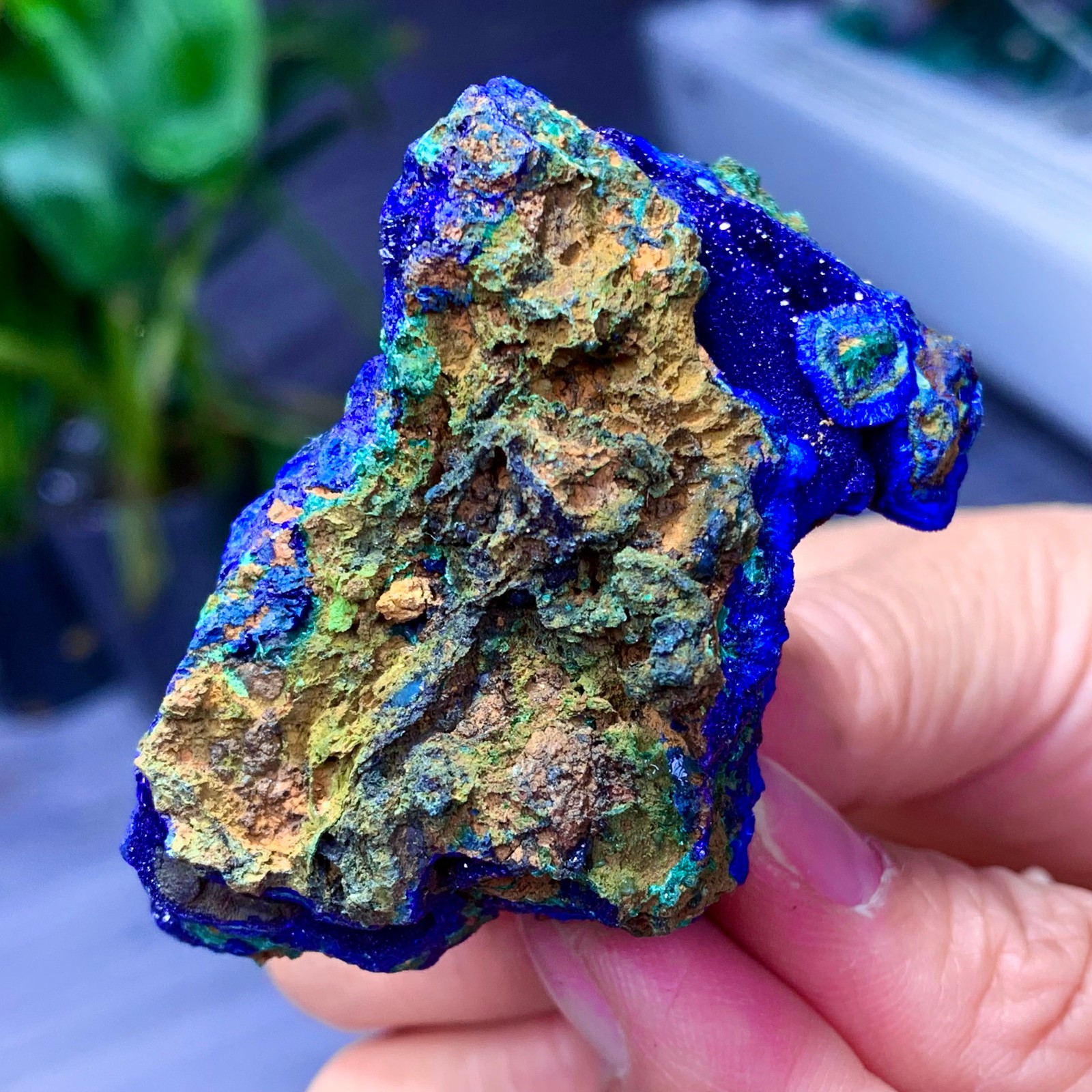 102G BEST Natural Azurite/Malachite crystal minerals specimens