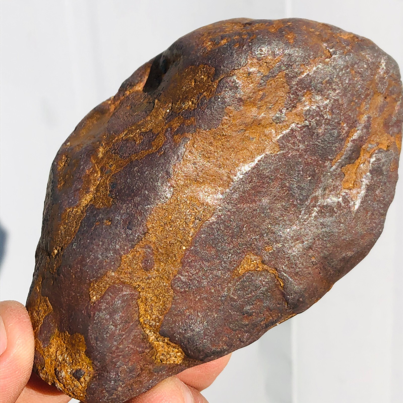 1.62lb STONY IRON H CHONDRITE METEORITE Polished Carved Space Rock Specimen