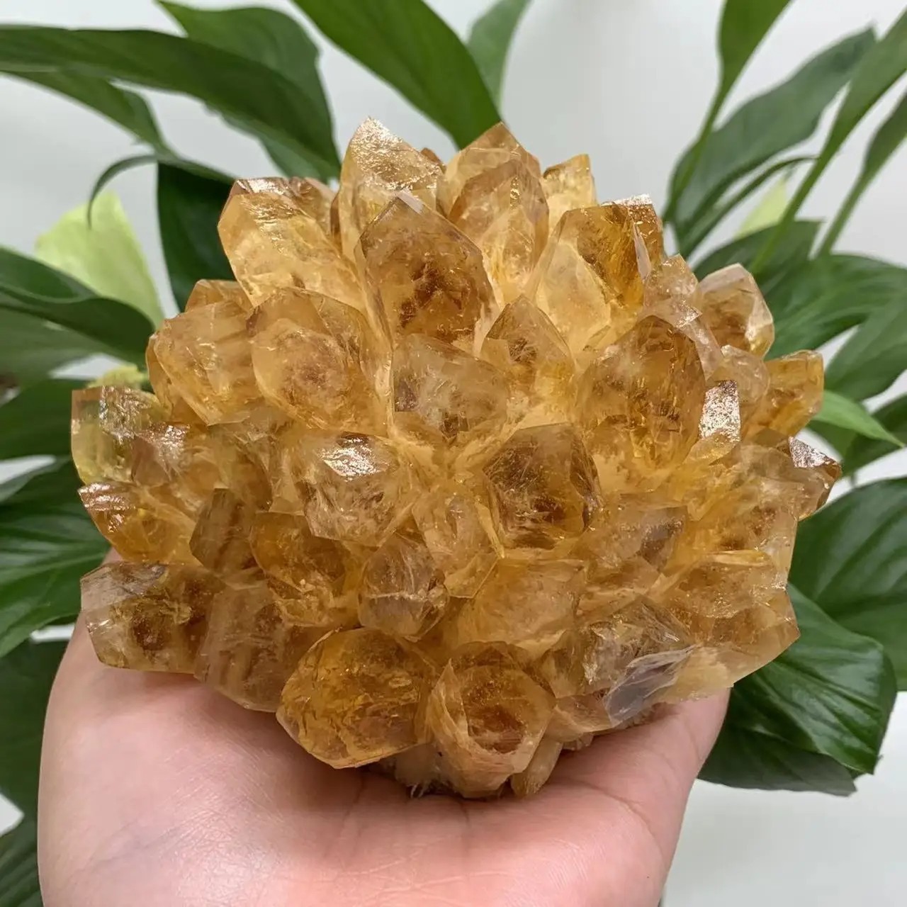 300g Natural Citrine Quartz Geode Cluster Yellow Crystal Collection Home Decor