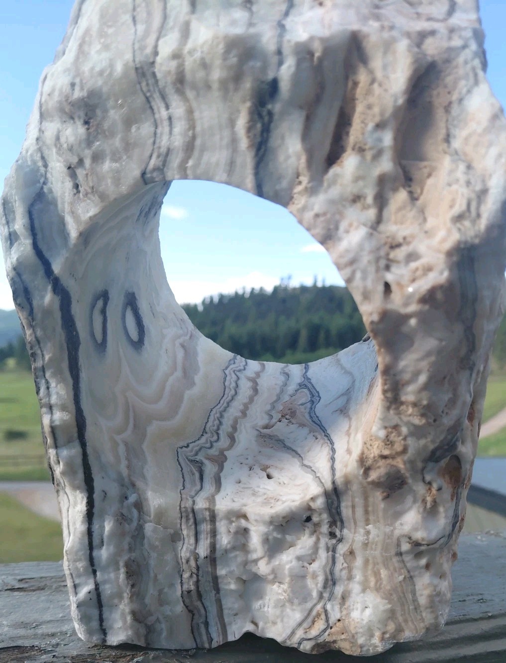 13.25Lb Zebra Calcite W CORED 4″ “Window” Display UV+ Bands Wrap Unique Décor
