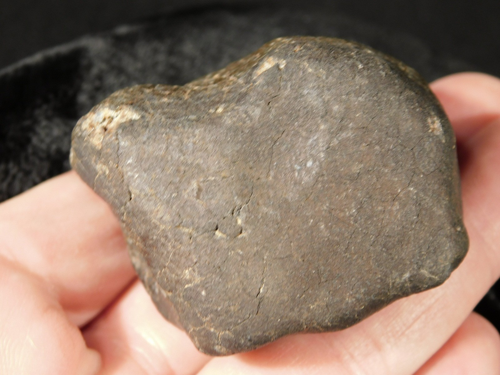 H6 Stony METEORITE Regmaglypts DARK Fusion Crust and Contraction CRACKS! 155gr