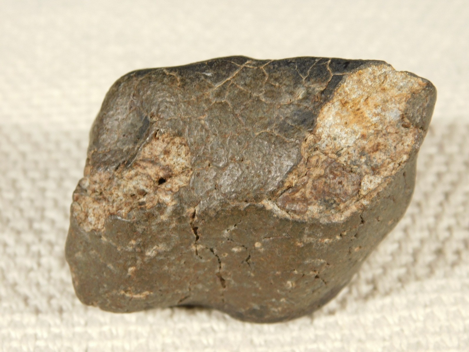 H6 Stony METEORITE Regmaglypts DARK Fusion Crust and Contraction CRACKS! 155gr