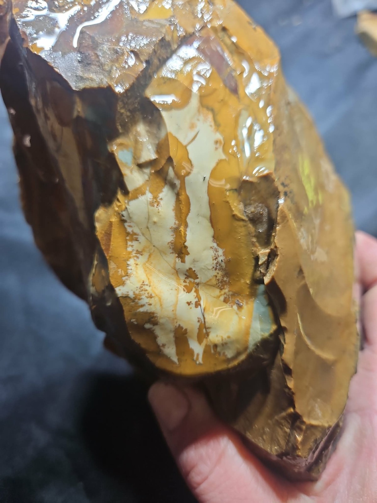 Oregon Picture Jasper Specimen (3lbs 4oz) Measures 8 in x 4 in x 3 in