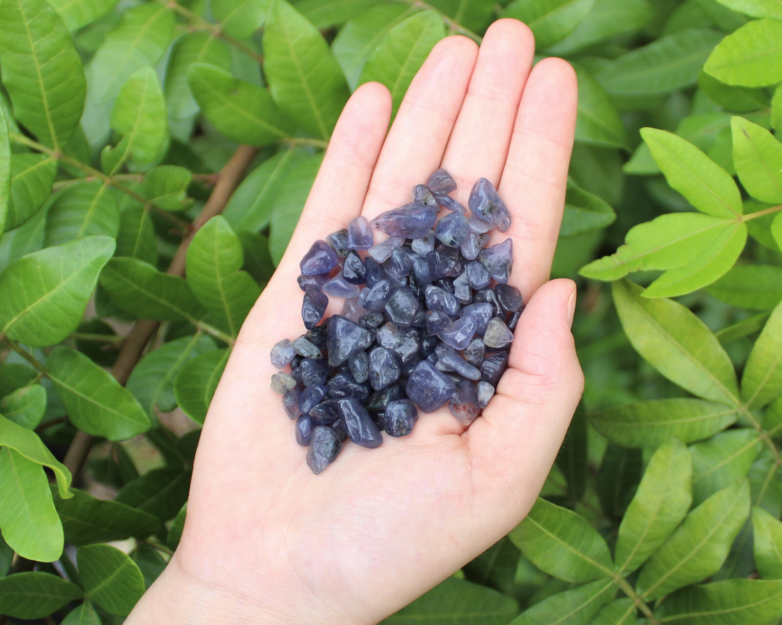 Iolite Semi Tumbled Gemstone Mini Chips 5-15 mm, ‘A’ Grade Wholesale Bulk Lot