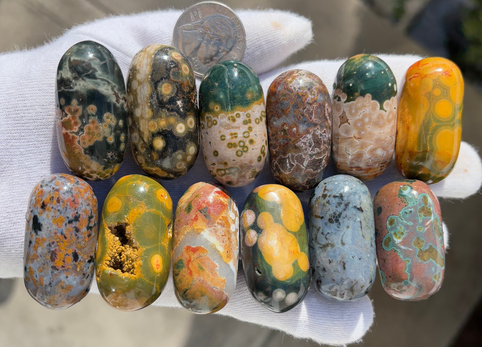 US SALE 349g LOT 12 OJ OCEAN JASPER LOG TUMBLE TUMBLES TUMBLED STONE STONES