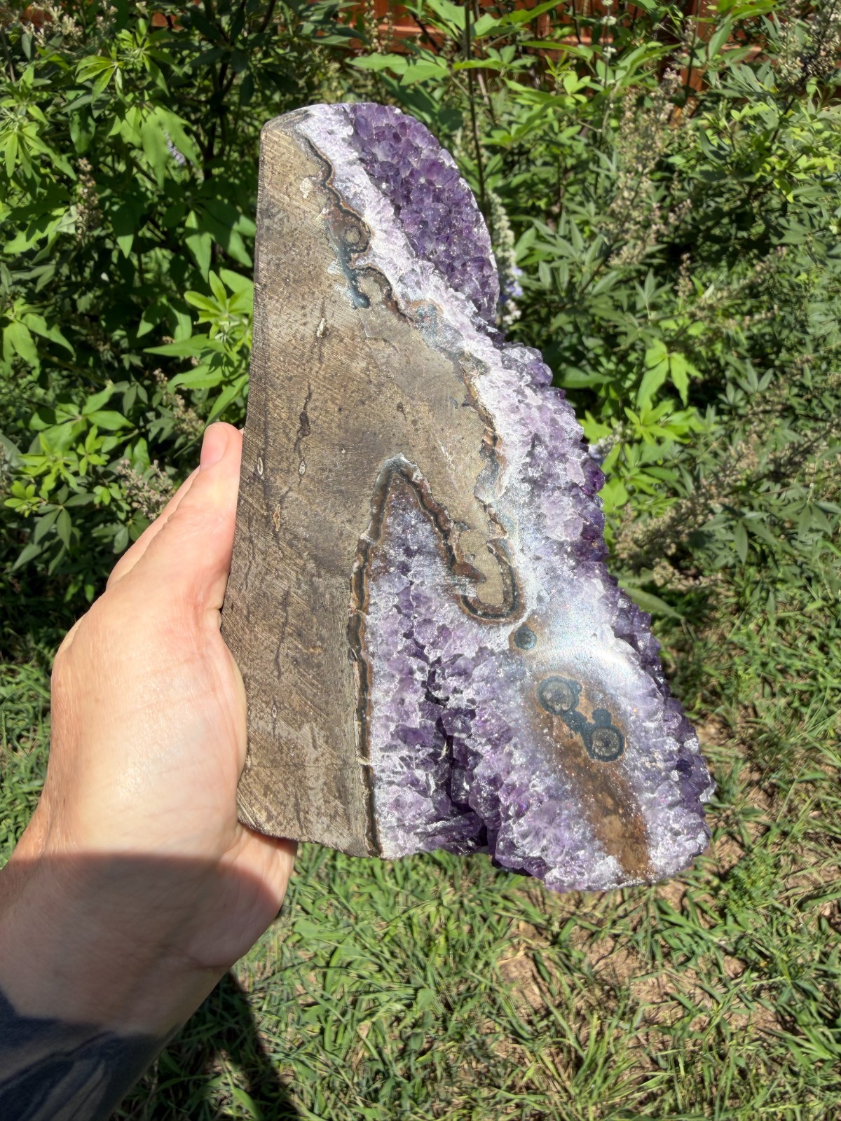 Uruguayan Amethyst Cluster 4lb 1.5oz 7.25″ Cut Base Free-Standing One of a Kind