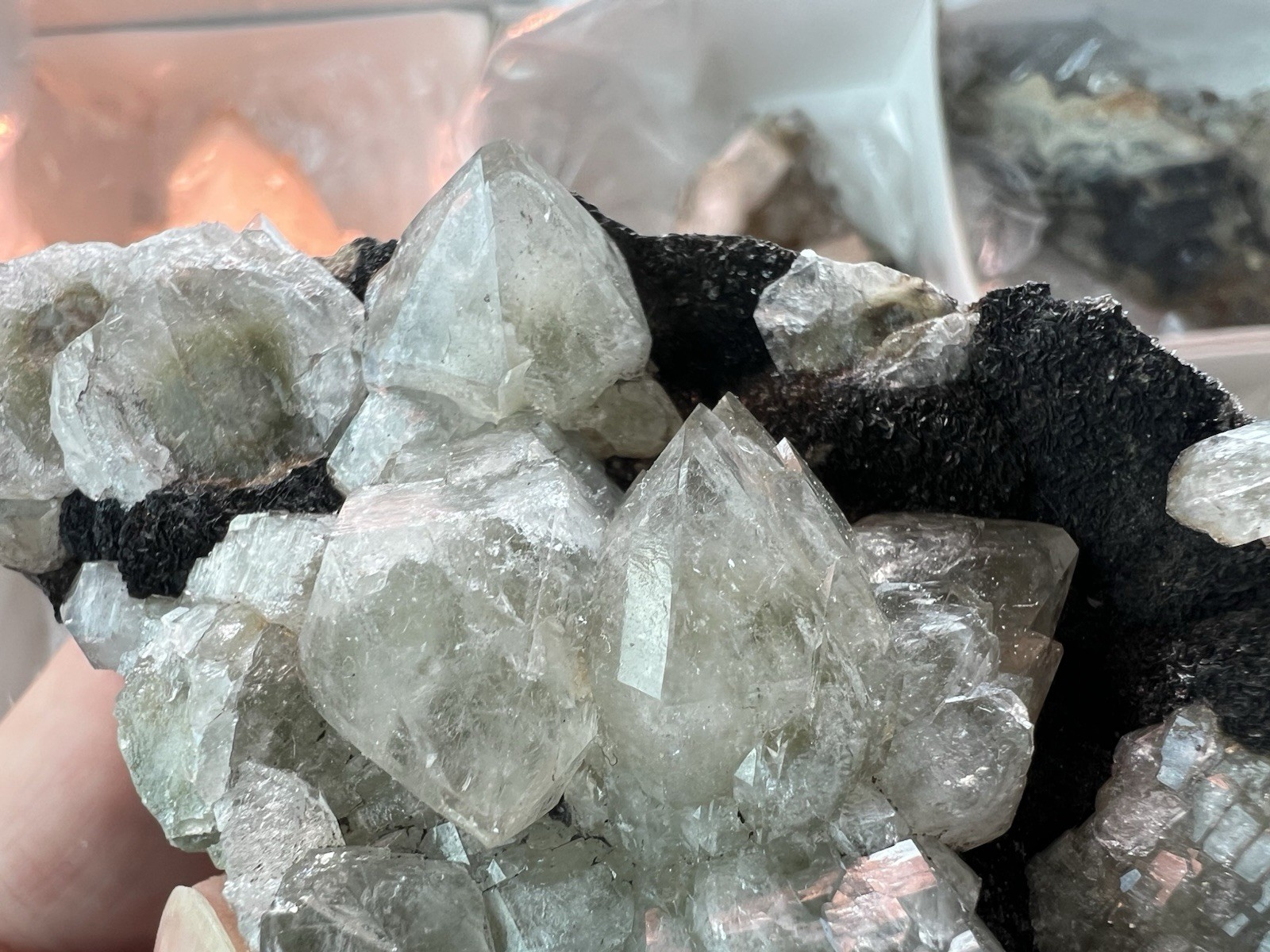 12 Quartz & Siderite Specimens – Potosí Mine, Santa Eulalia, Chihuahua, Mexico
