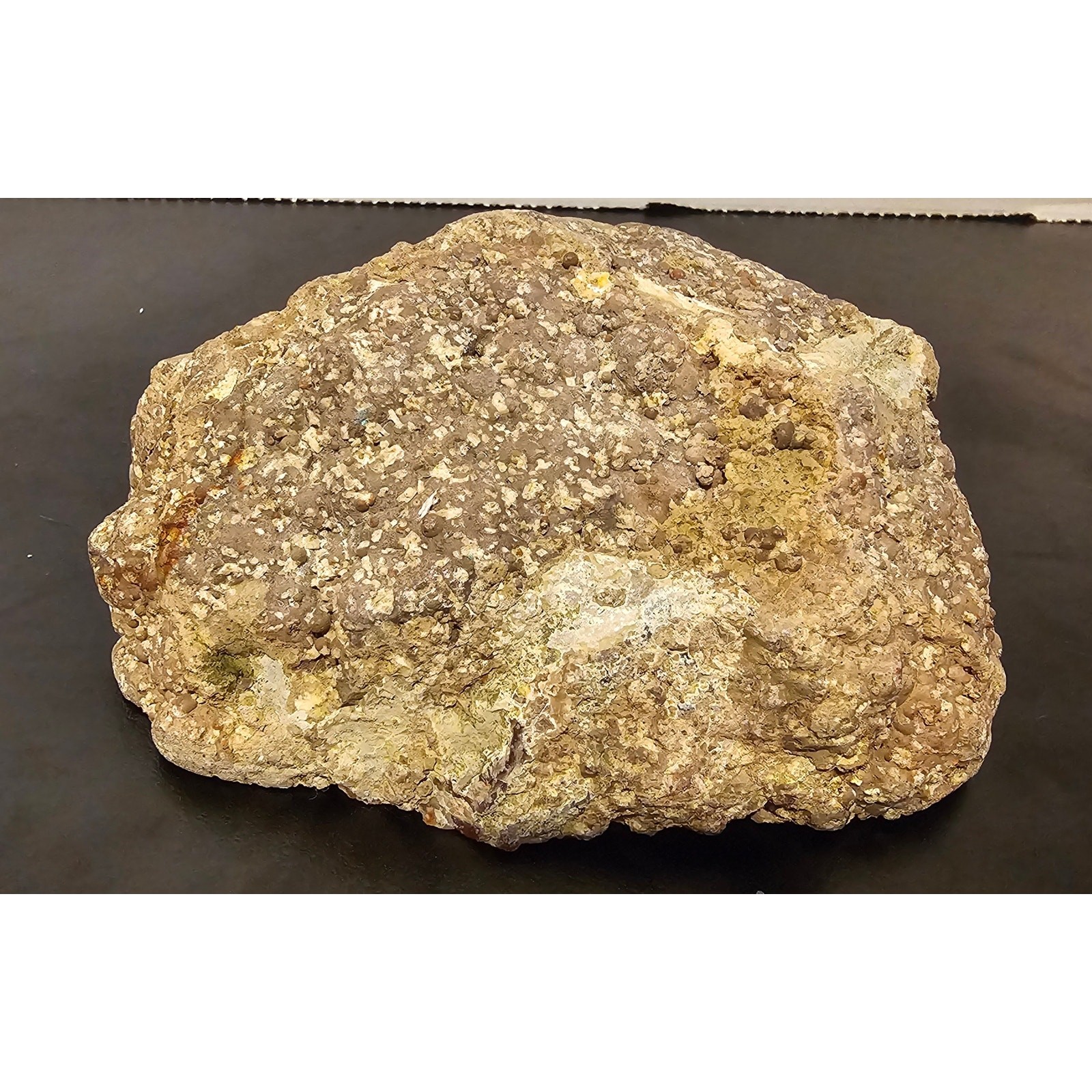 Thunder Egg Geode with Brown and White Chalcedony Crystal