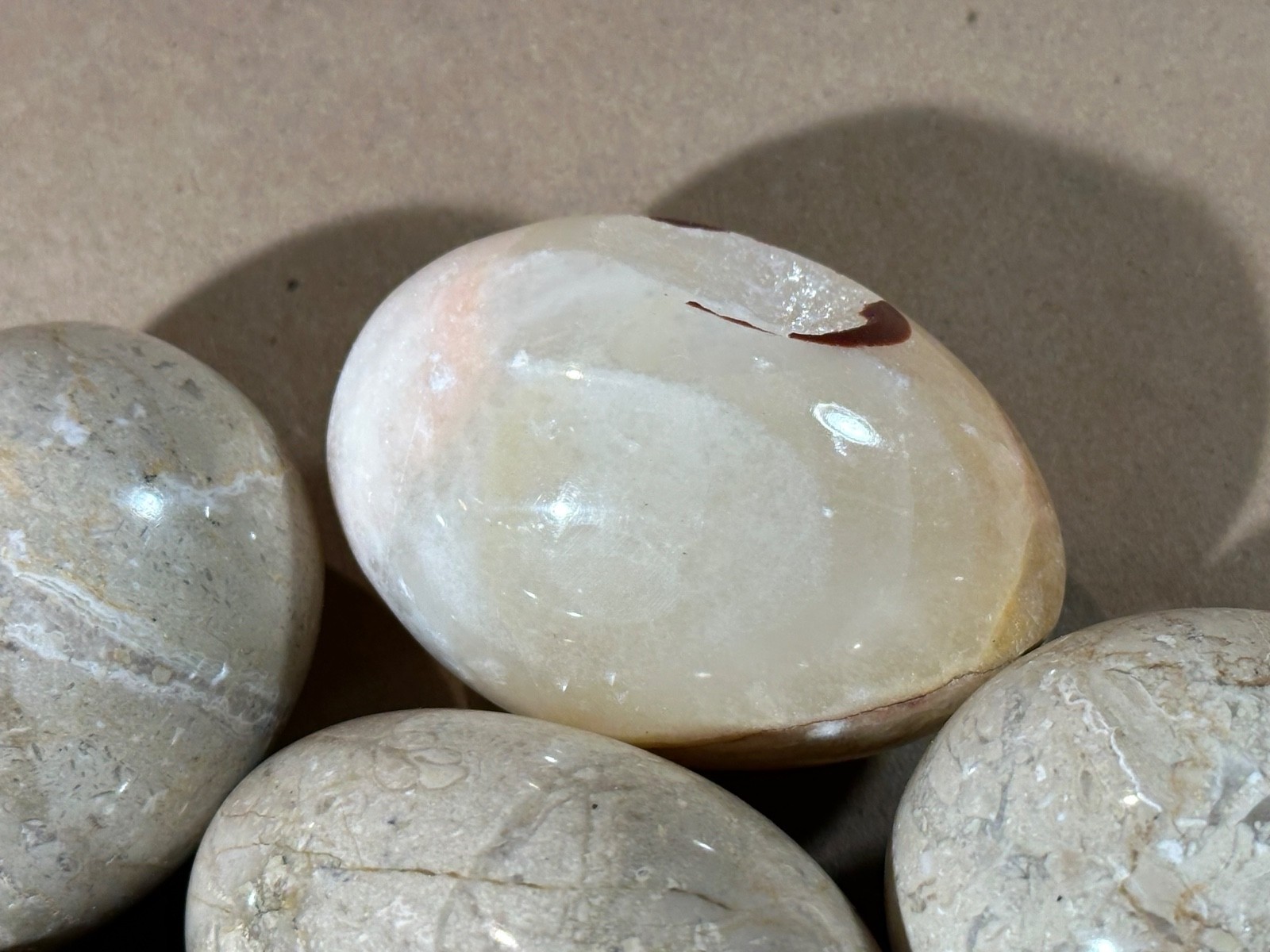 Lot of 10 Fossil Coral / Fossiliferous Limestone Polished Gemstone Eggs 2.75” –