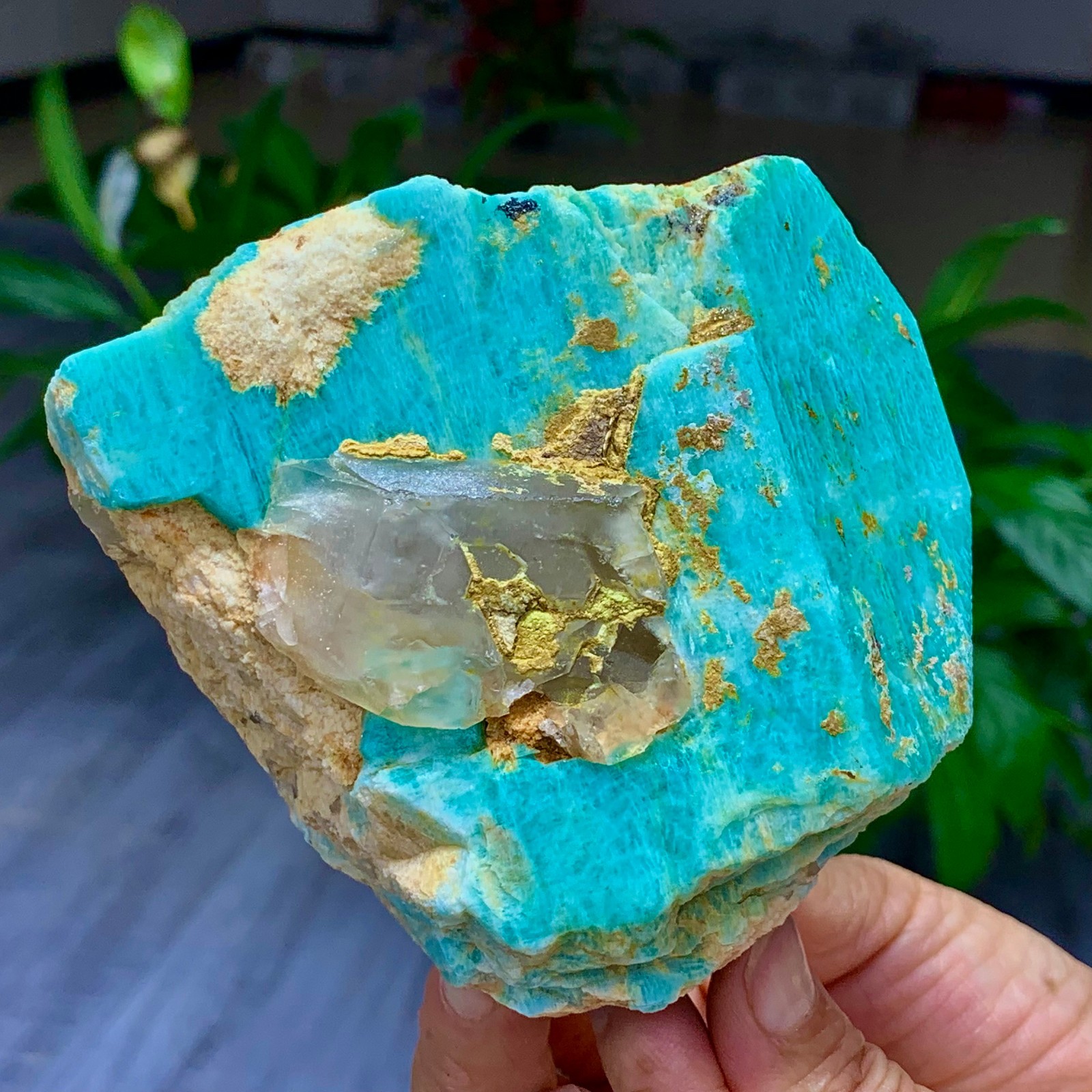 1.58LB Rare!! Natural beautiful Amazonite with Quartz Crystal Specimen Rough