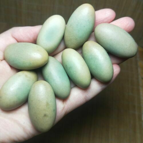 1pcs Glow In The Dark Tibetan Wealth God Ancient Luminous Egg Stone Old Dzi Bead