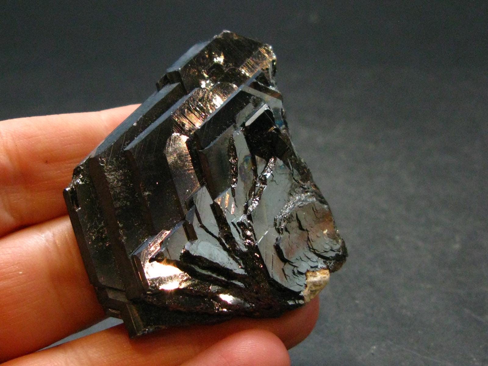 Large Hematite “Iron Rose” from Brazil – 2.0″ – 50.39 Grams