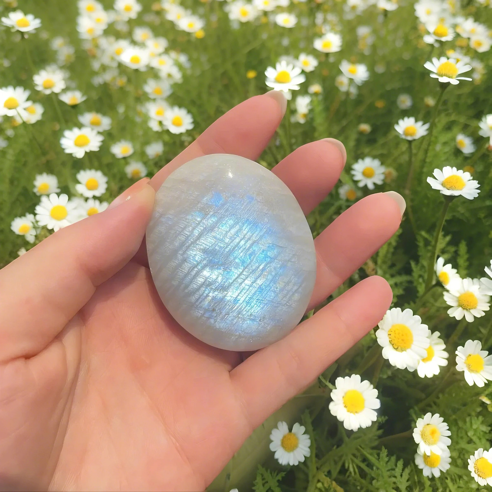 2.5″ Blue Flash Moonstone Tumbled Stone Healing Crystal Pocket Palm Stone Gift
