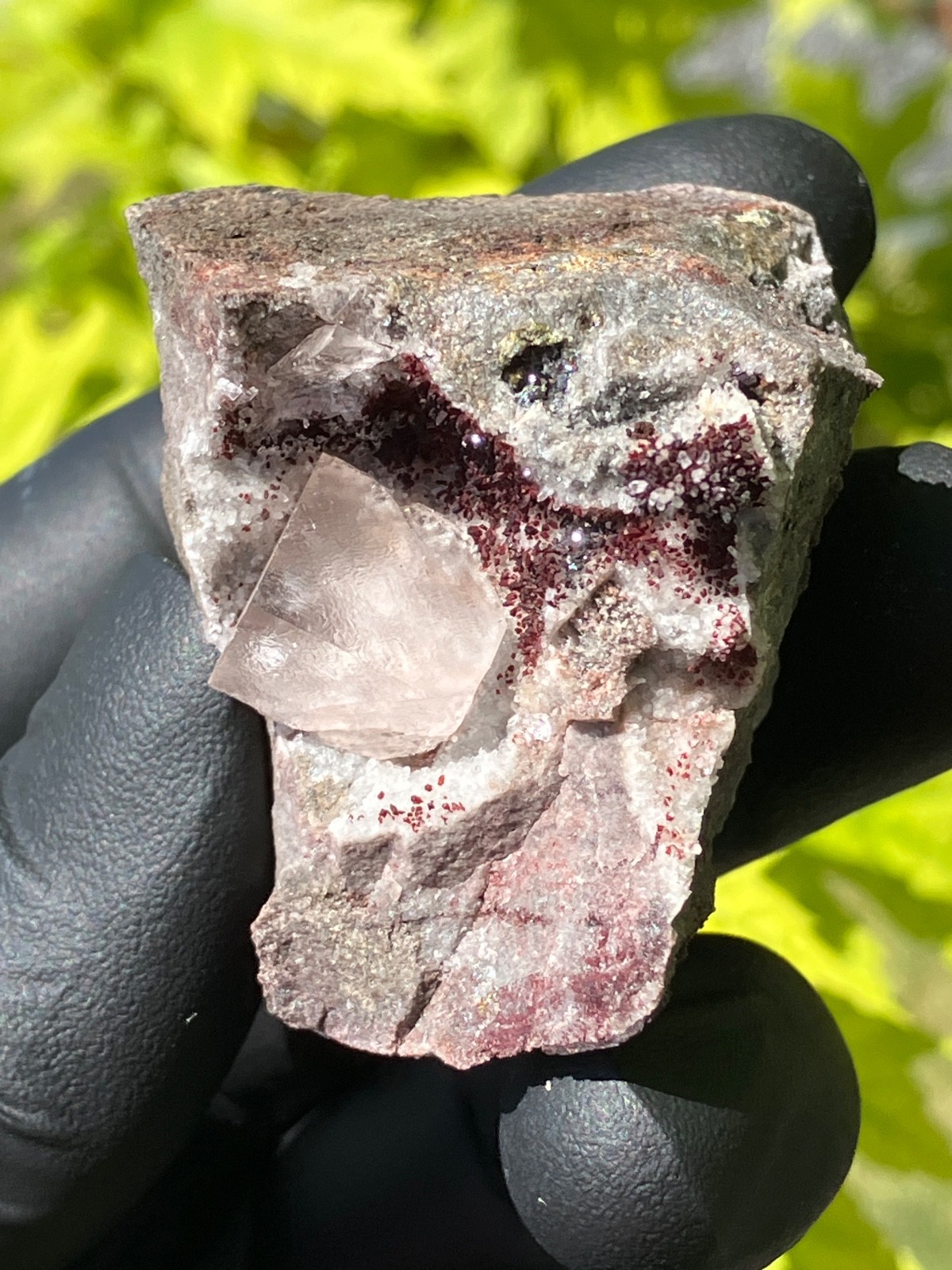 Fluorite “Red Pocket” 2007-2008 “Rare” U.V. Ojuela Mine, Mapimi, Durango, Mexico