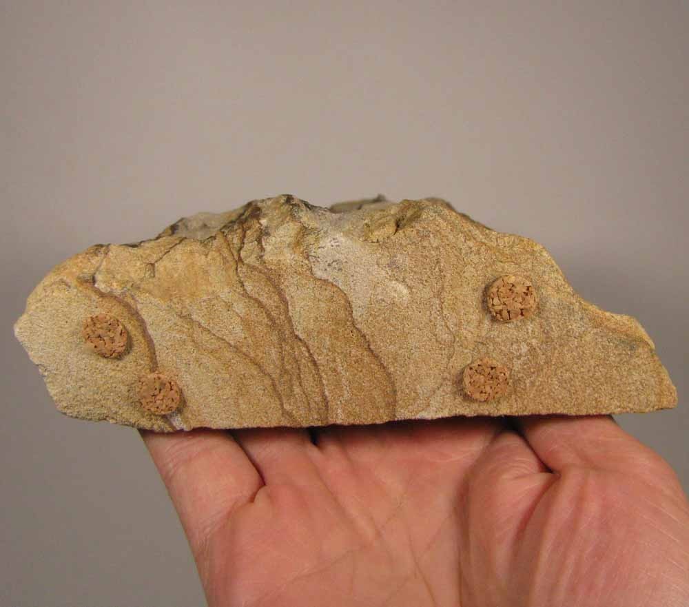5.8″ Kanab Goldenstone SANDSTONE Sculpture Freeform – Utah – 1.3 lbs.