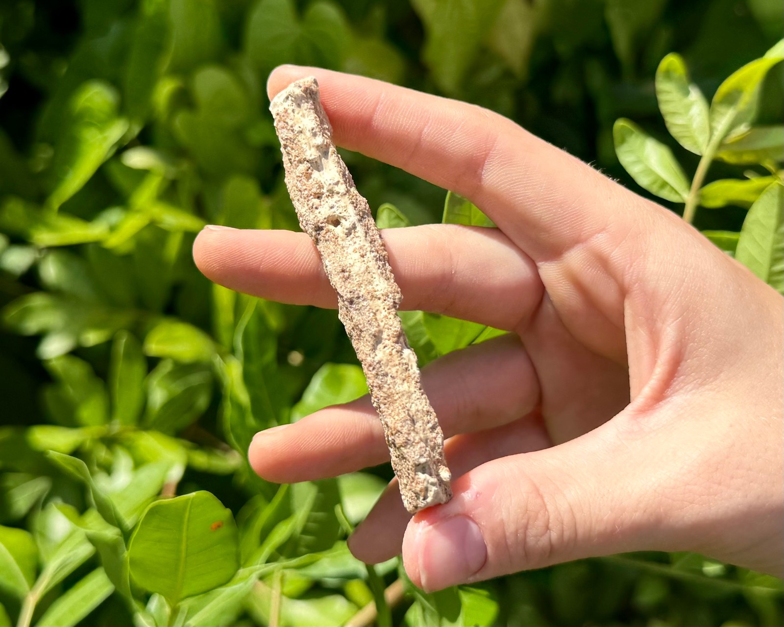 RARE Fulgurite Crystals Collection Box – Natural Lightning Formed Raw Fulgurite