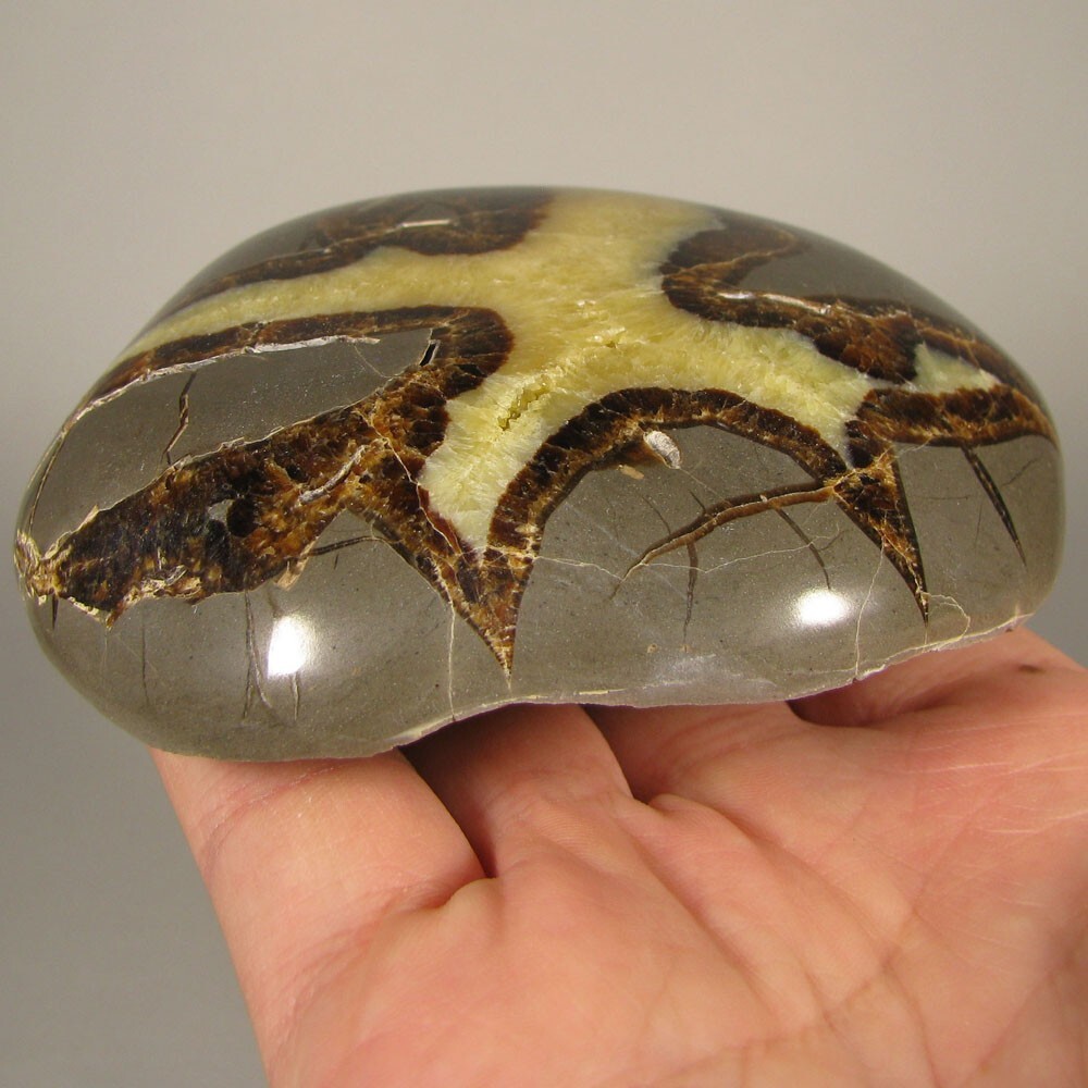 3.8″ SEPTARIAN Turtleback Polished Geode End Slab – Utah