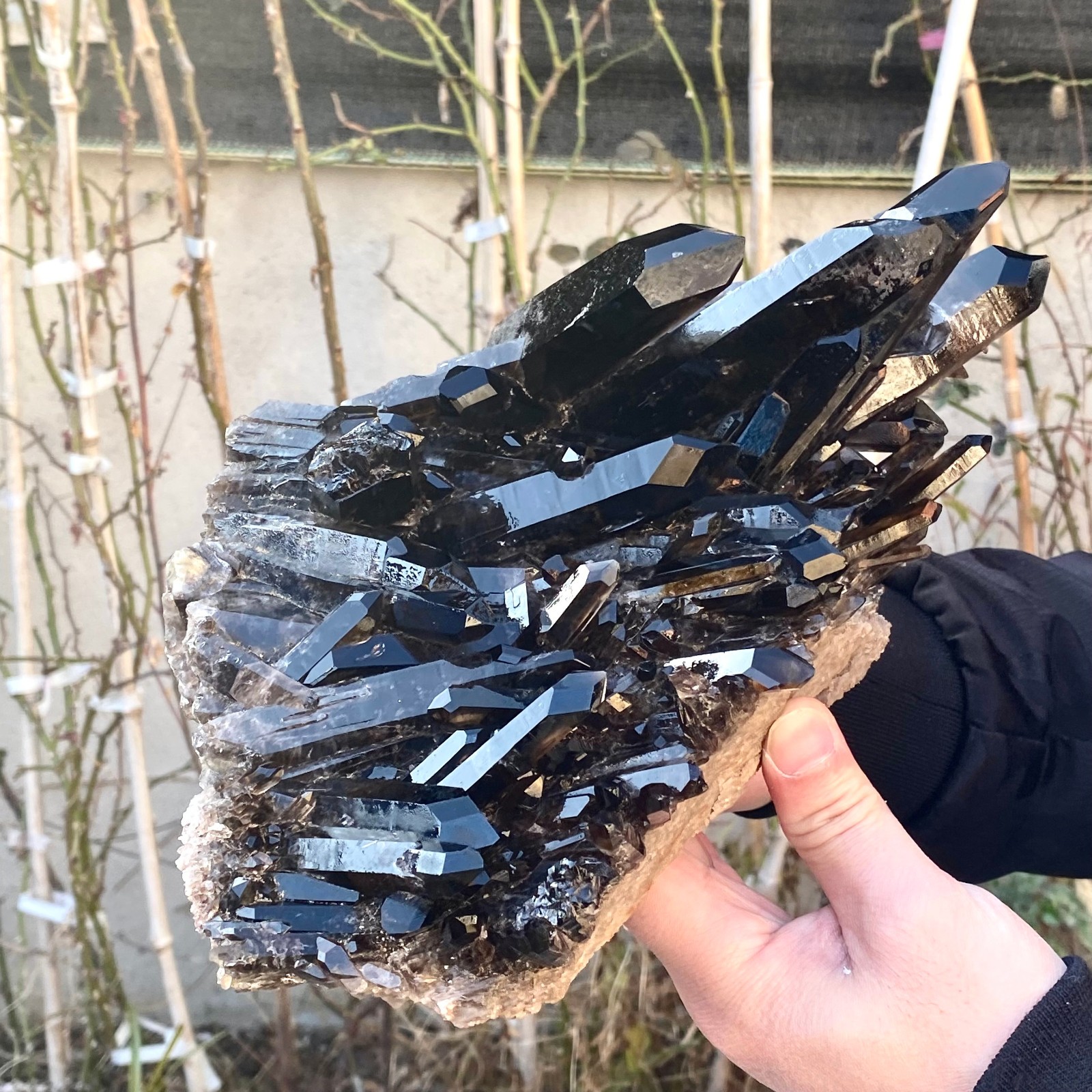 5.25LB Large Natural black Quartz Crystal Cluster Rough Specimen Healing Stone.