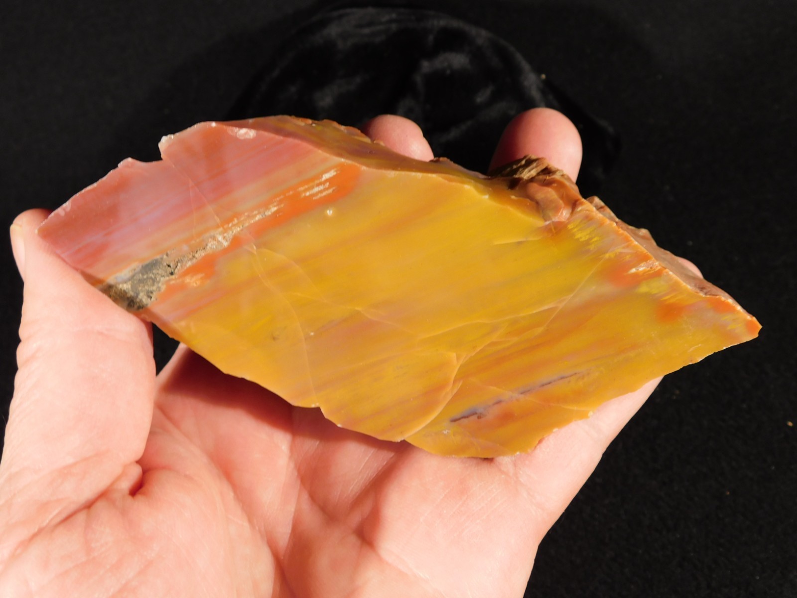 Polished Deep Yellow/RED Petrified RAINBOW WOOD Fossil End Cut Arizona 309gr