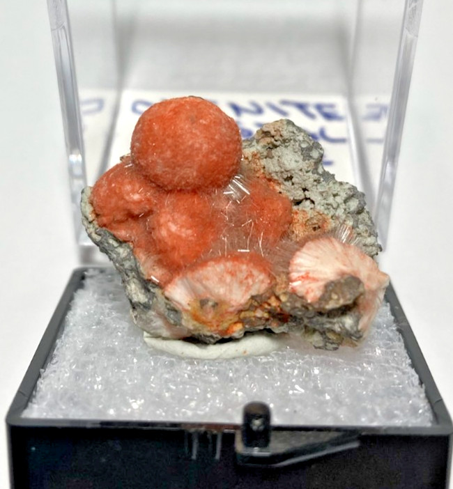 Okenite orange crystals from India Thumbnail