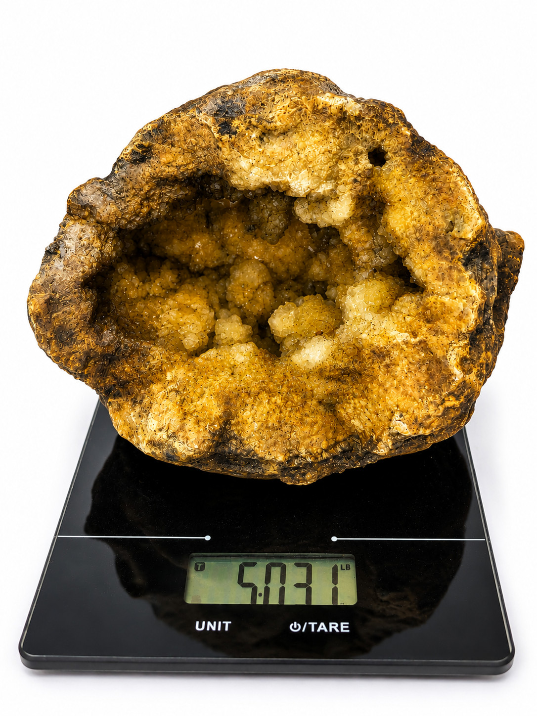 5 lb 3 oz Open KY Geode Golden Crystal Cavity Large Display Specimen Collectible