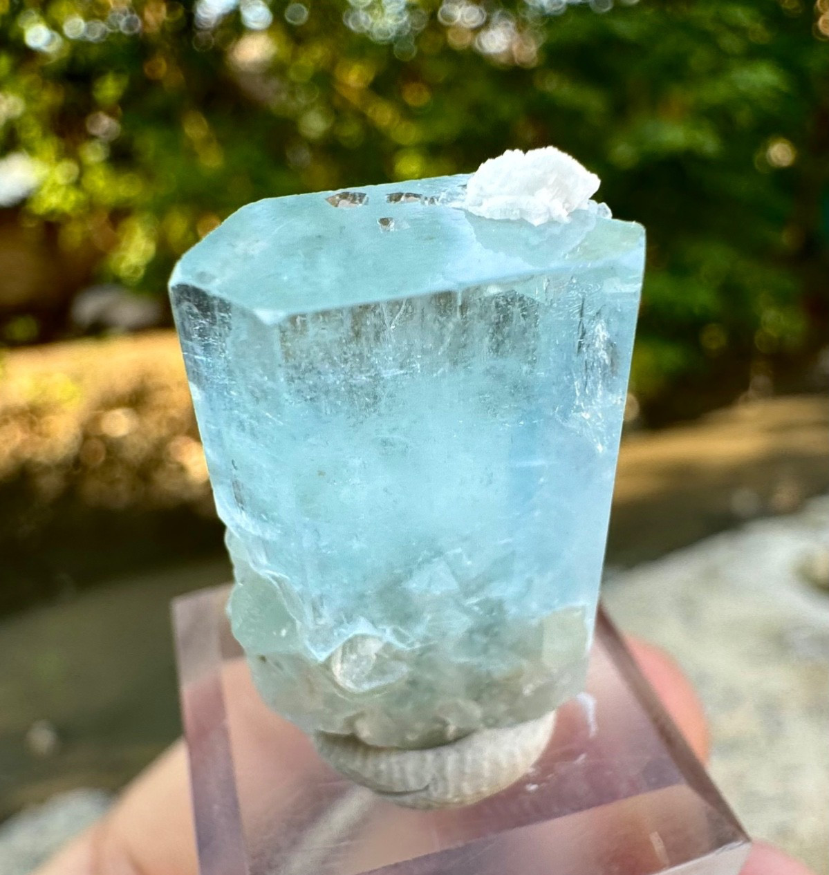 Natural Sky Blue Terminated Aquamarine Combine Crystal , 40 Carats @ Minerals