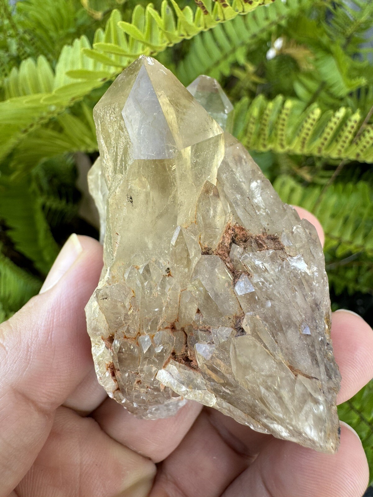 Rare KUNDALINI CITRINE Natural Healing Crystal Point – Lwena, CONGO 142g
